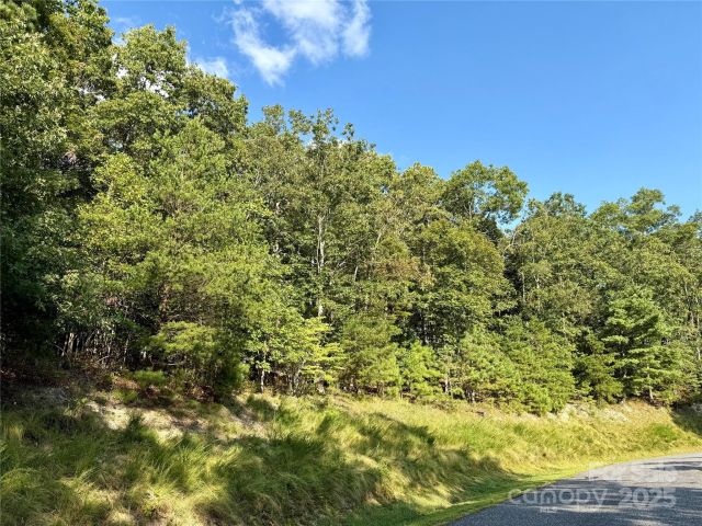 512 Wild River Run, Marshall, NC, 28753