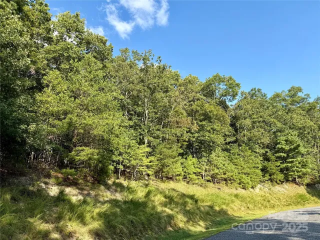 512 Wild River Run, Marshall, NC, 28753