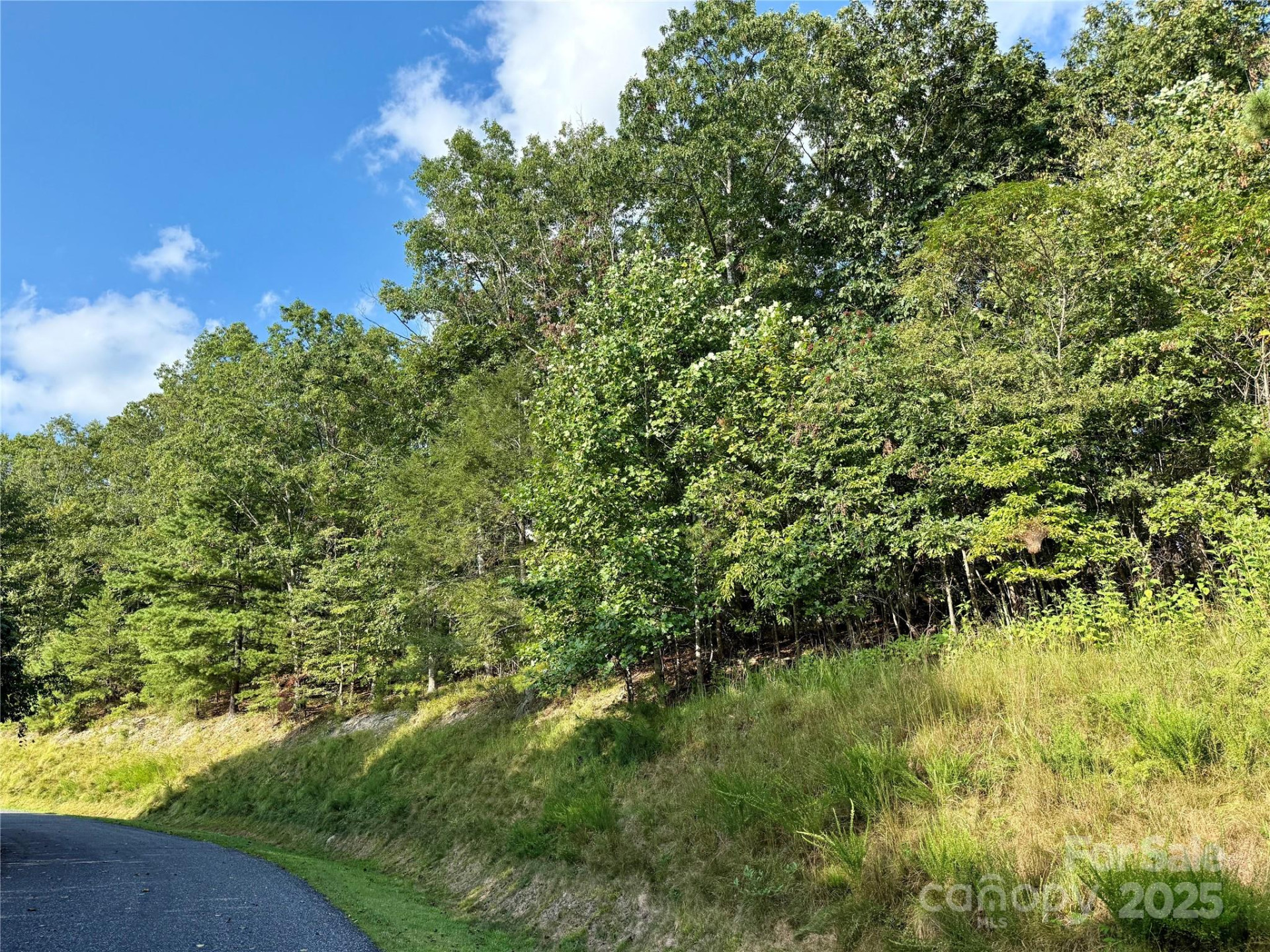 512 Wild River Run #65 - Photo 2