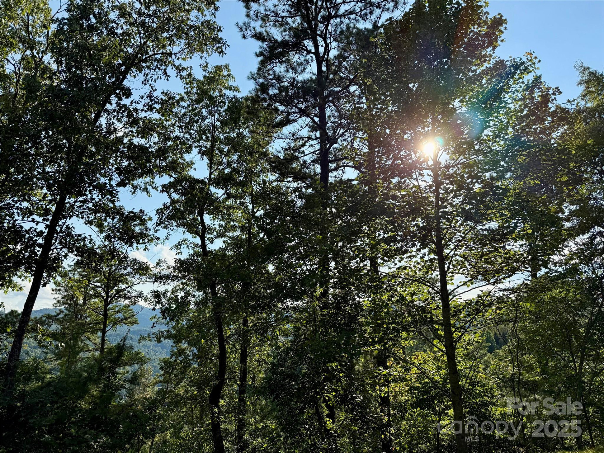 512 Wild River Run #65 - Photo 3