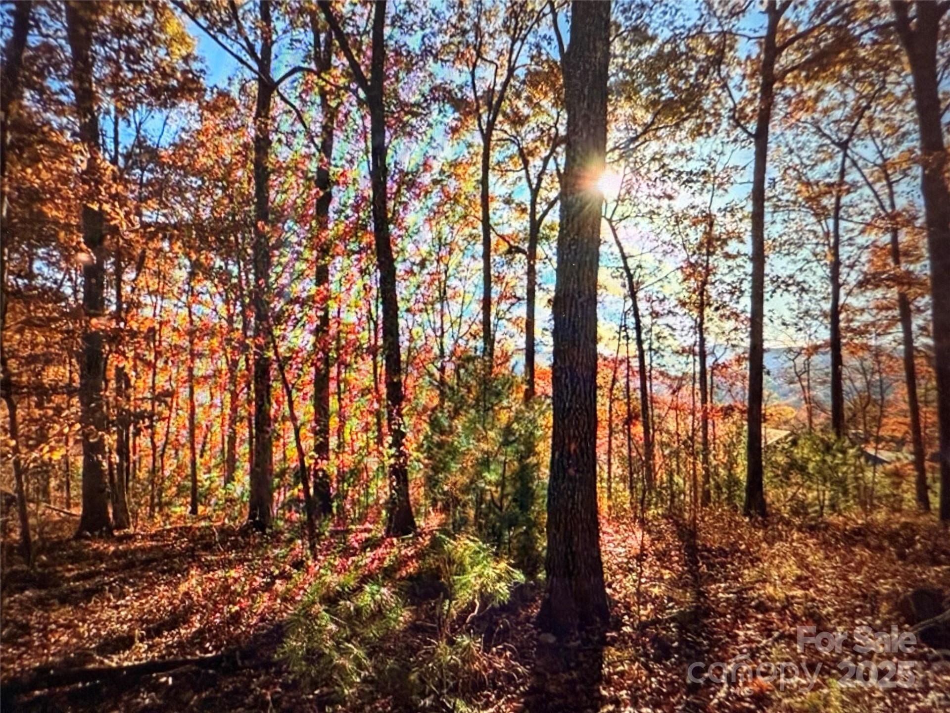 512 Wild River Run #65 - Photo 4