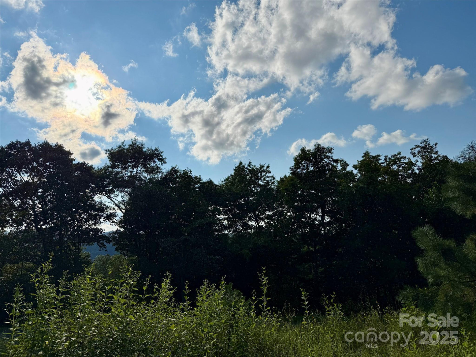 512 Wild River Run #65 - Photo 33