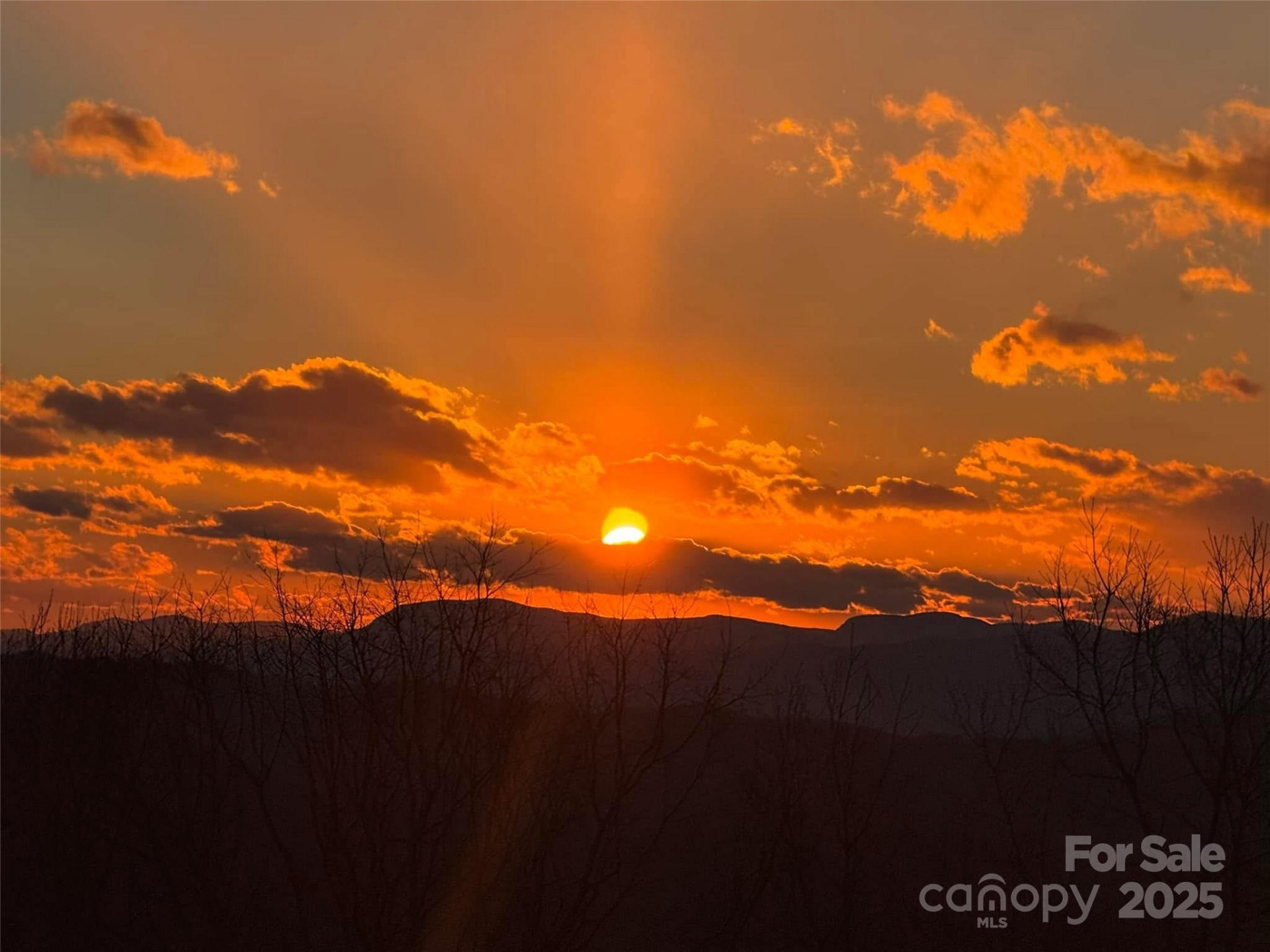 1401 Fleetwood Plaza #1 - Photo 41