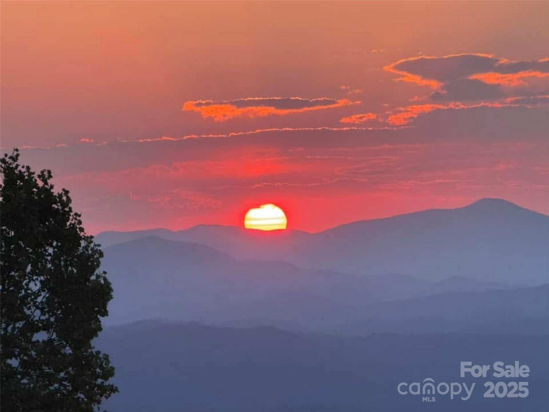 1401 Fleetwood Plaza #1 - Photo 42