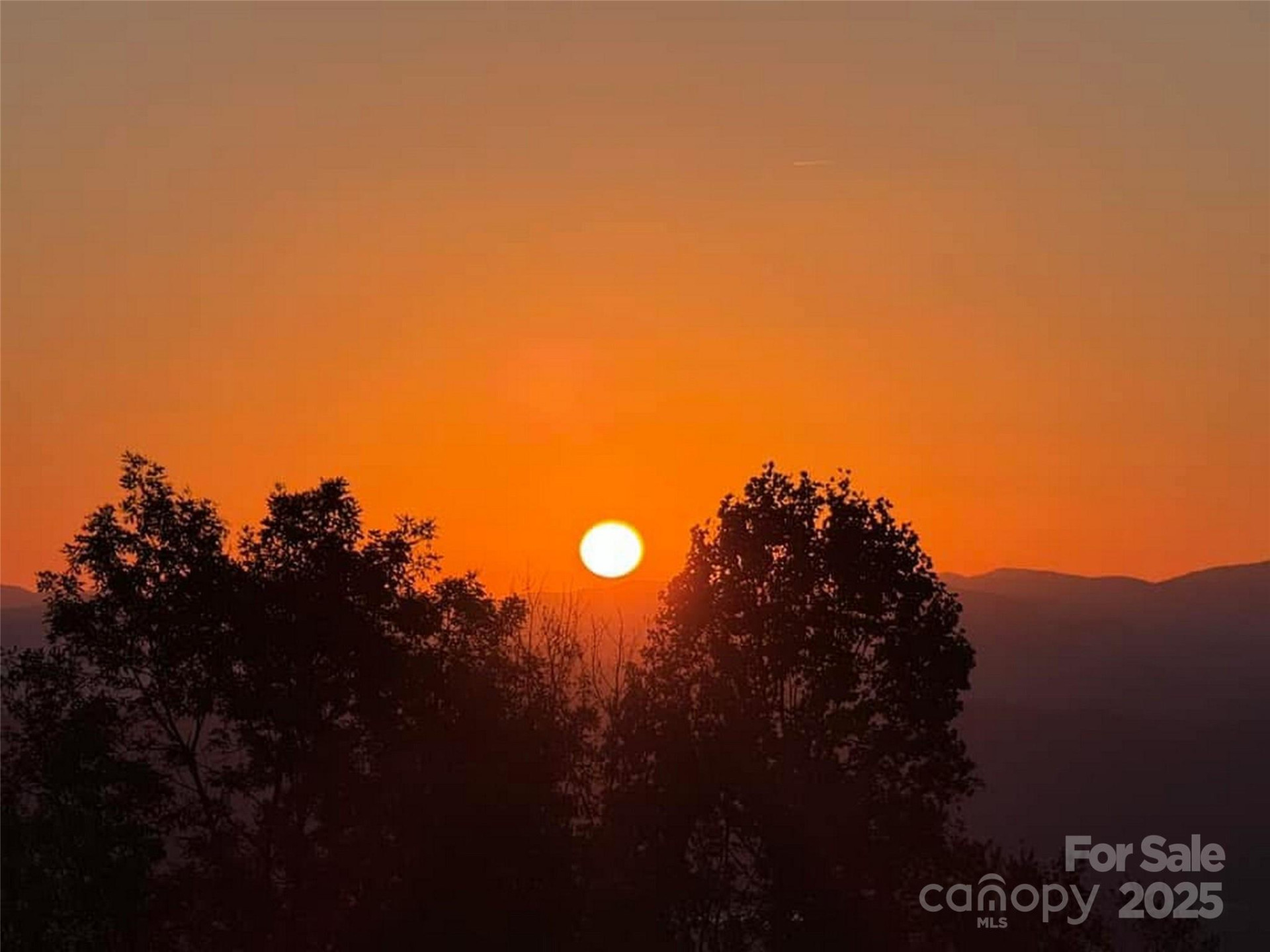 1401 Fleetwood Plaza #1 - Photo 43