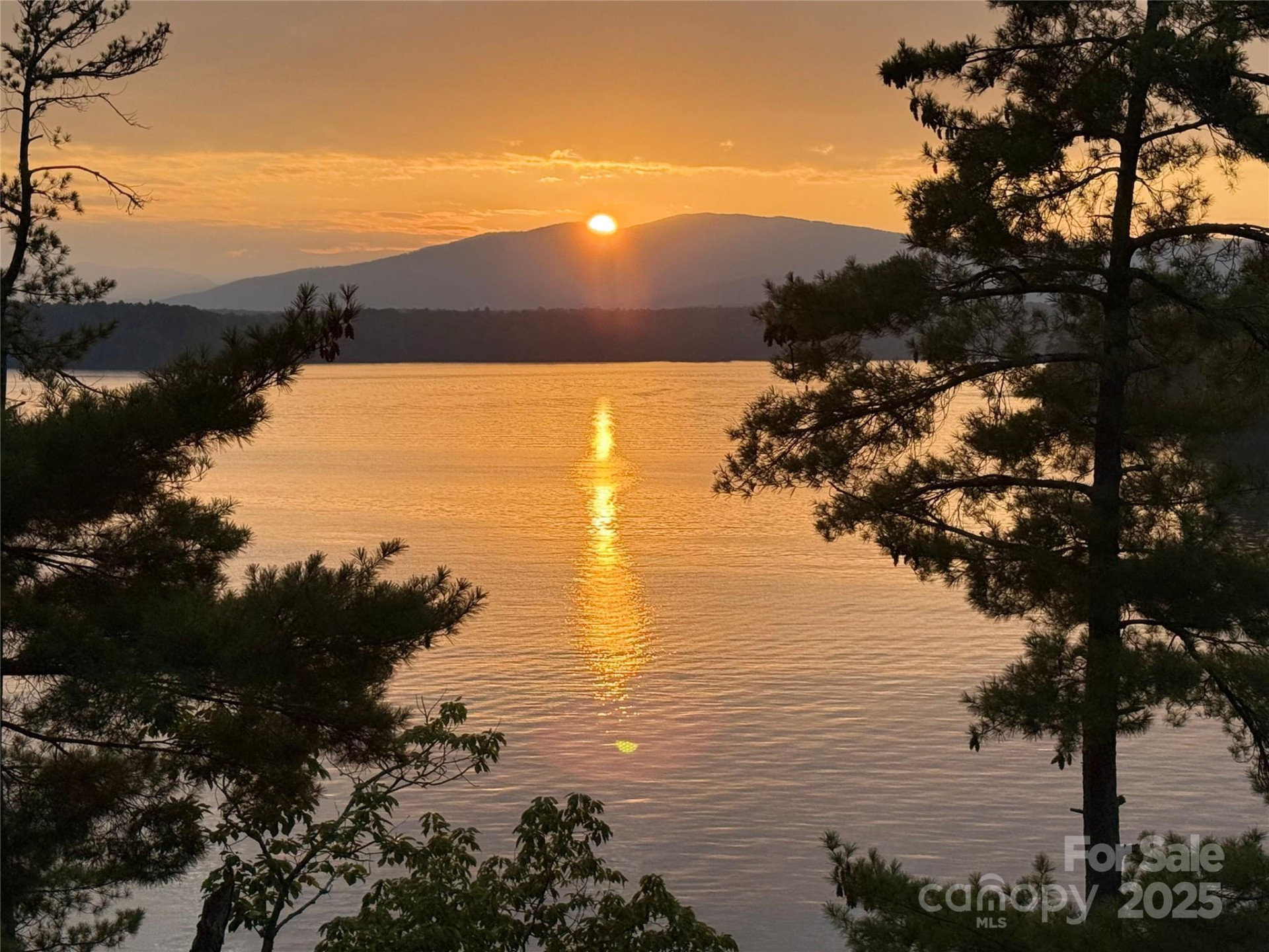 5140 Beech Bluff Drive - Photo 47