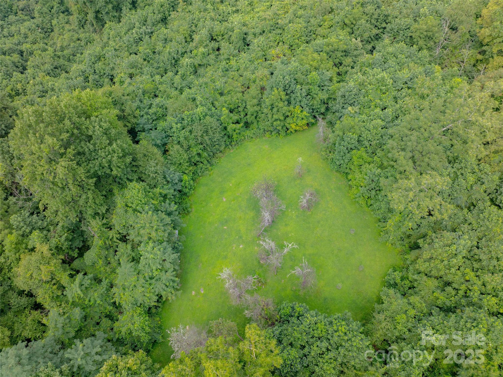 99999 Billy Cove Road - Photo 18