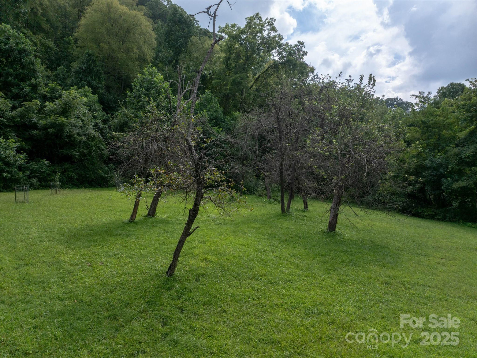 99999 Billy Cove Road - Photo 19