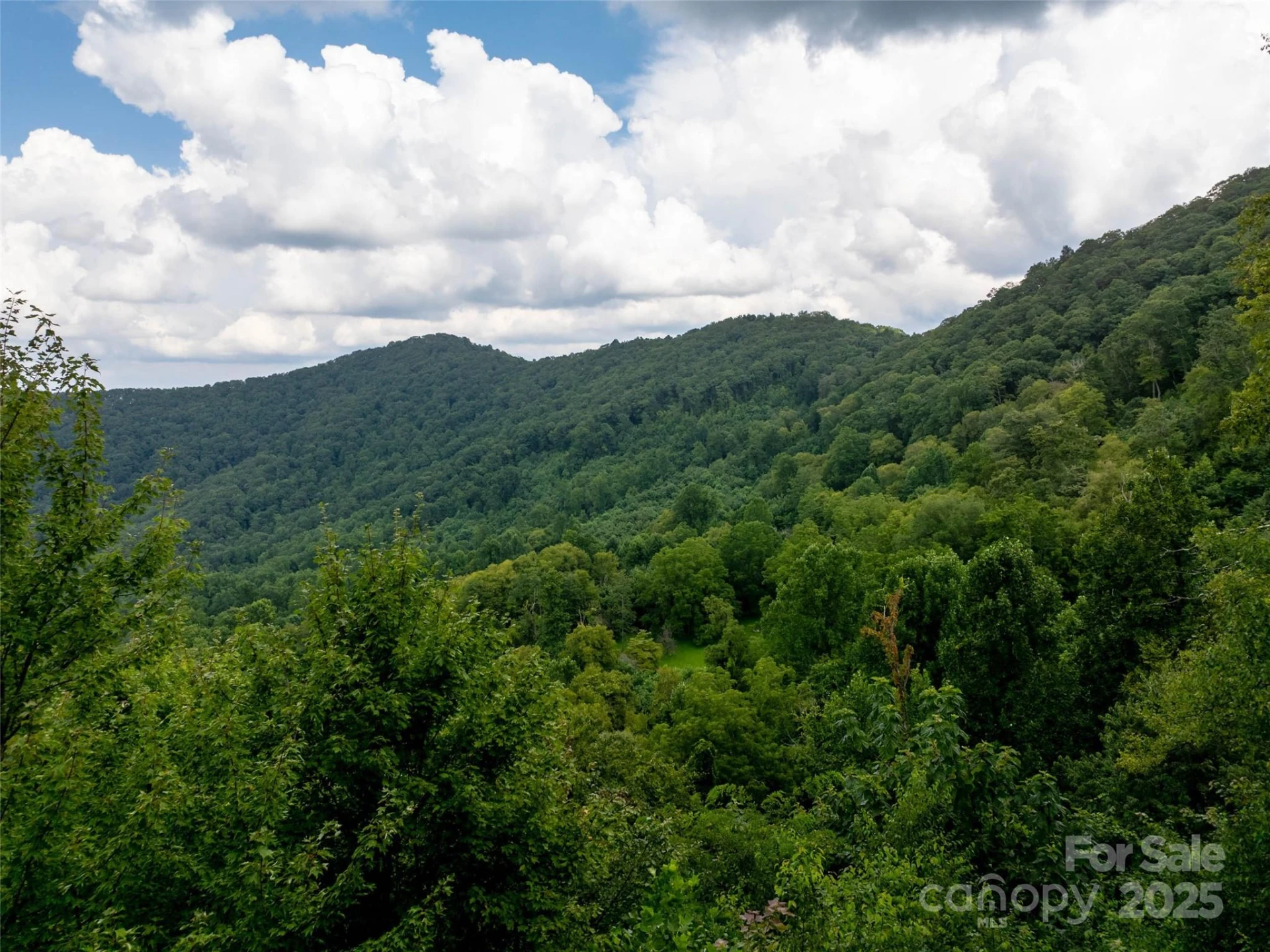 99999 Billy Cove Road - Photo 23