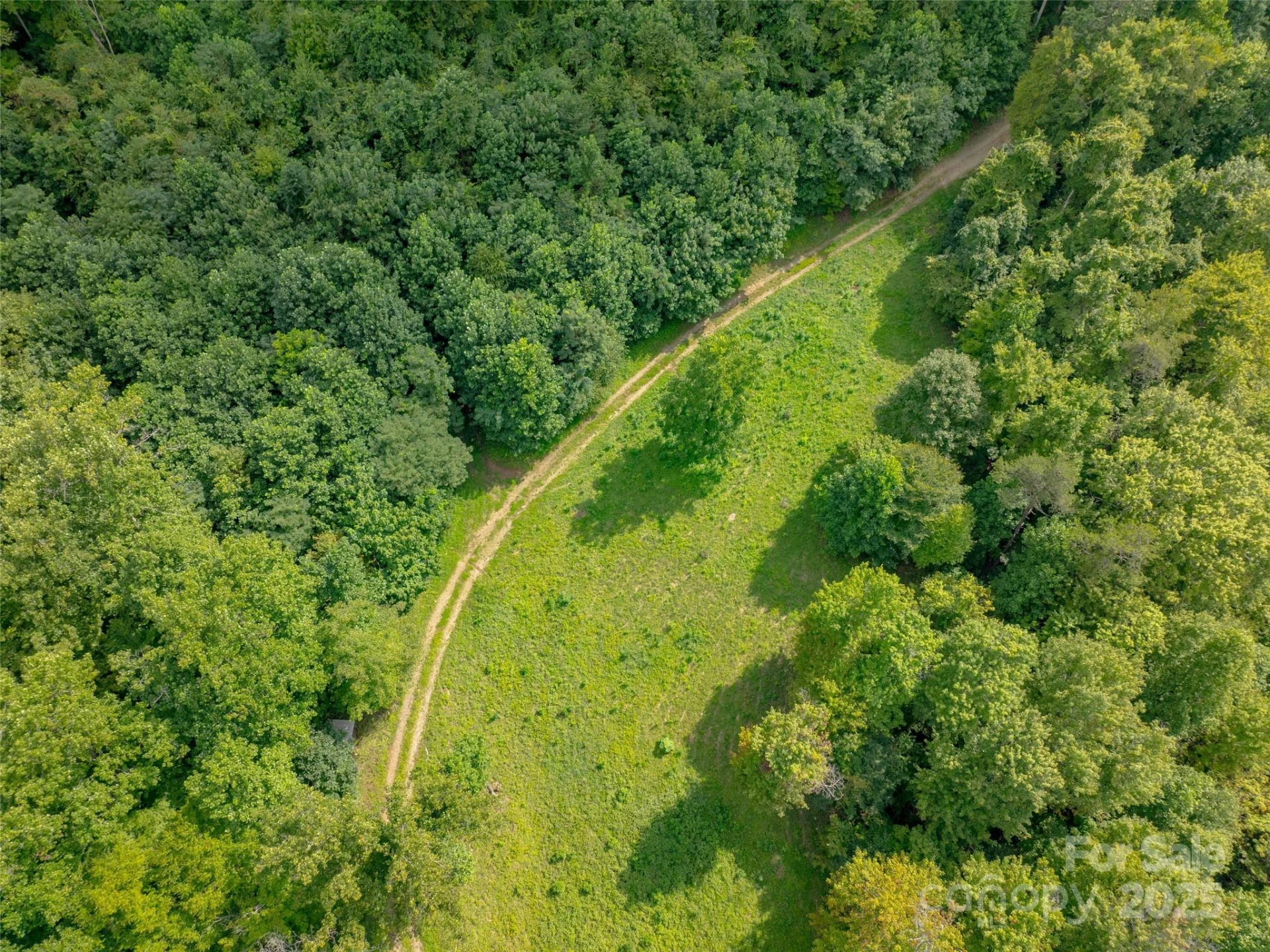 99999 Billy Cove Road - Photo 6