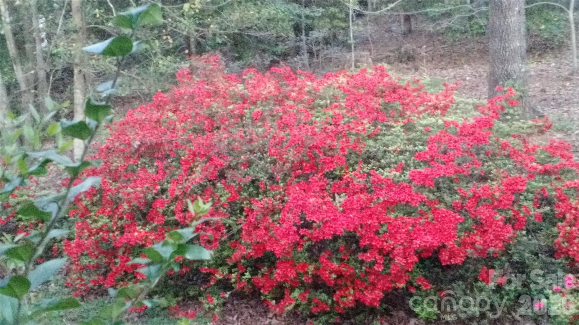 3065 Woodstream Drive - Photo 2