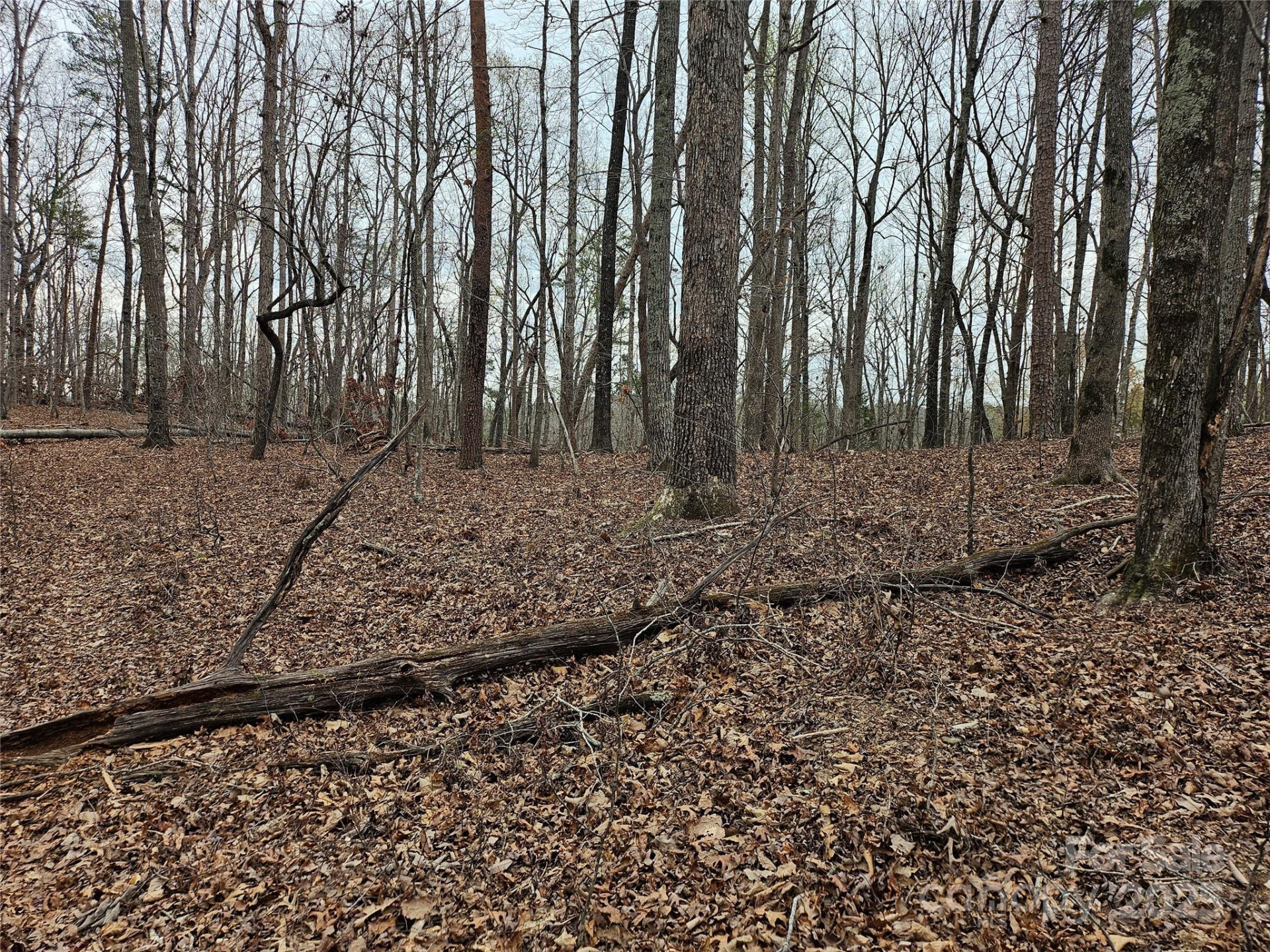 000 Weaver Mill Road