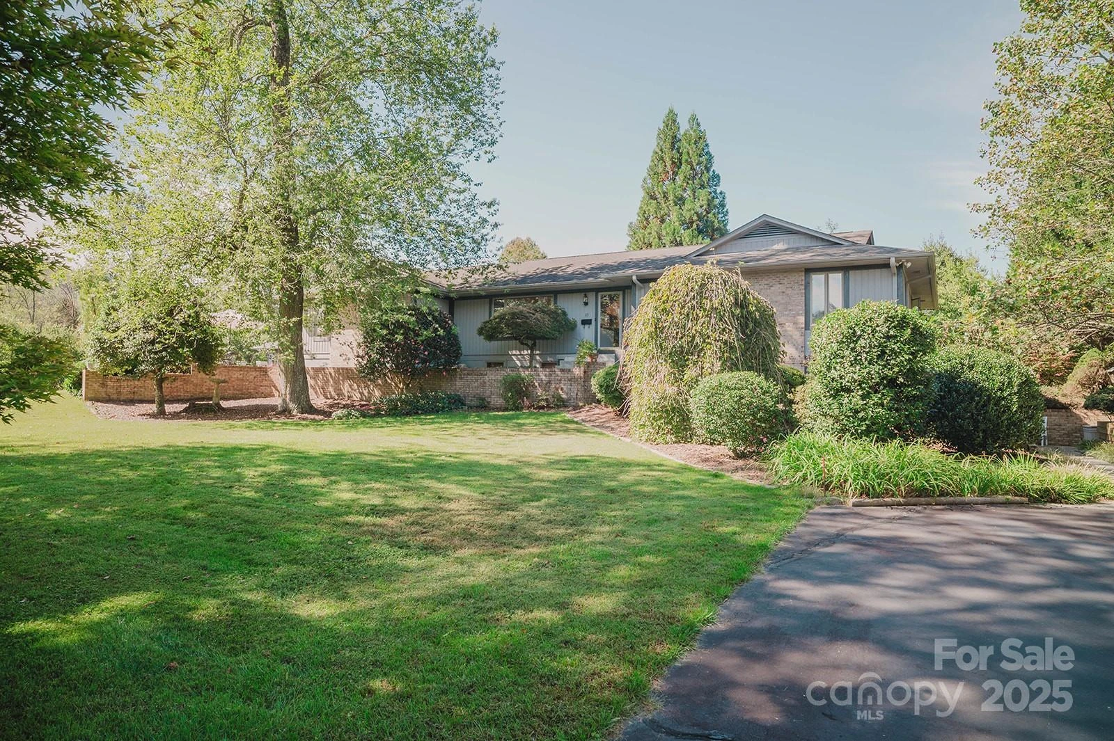 115 Hawkins Creek Road - Photo 3