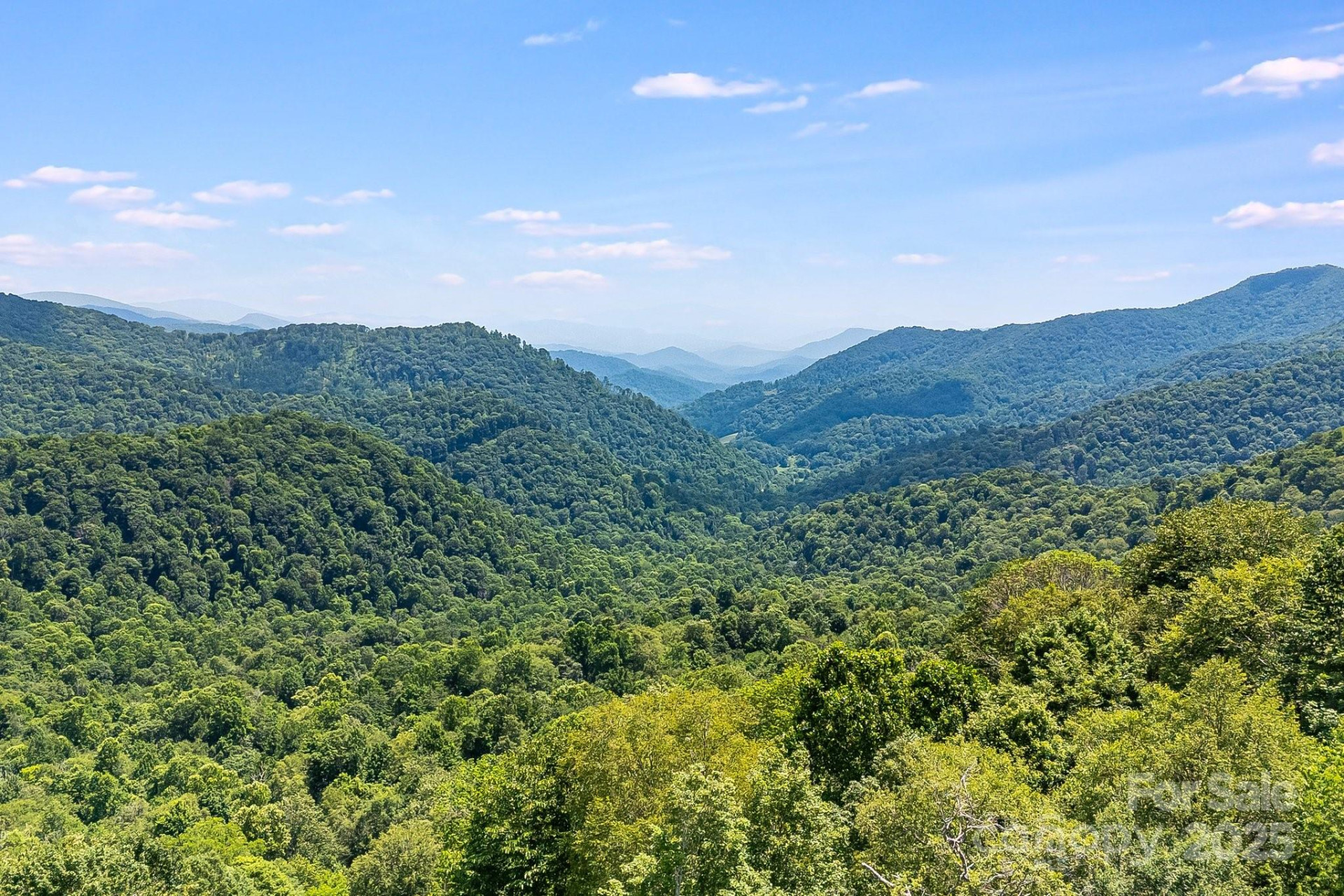 1617 Mountain Gait Drive #16 & 17 - Photo 12