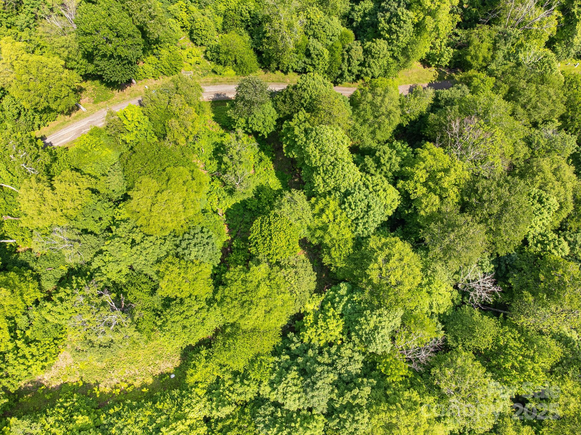 1617 Mountain Gait Drive #16 & 17 - Photo 16