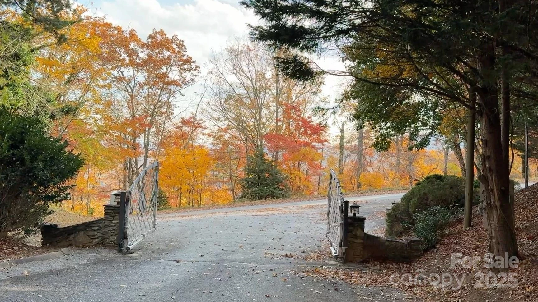 630 & 631 Melrose Mountain Road - Photo 2