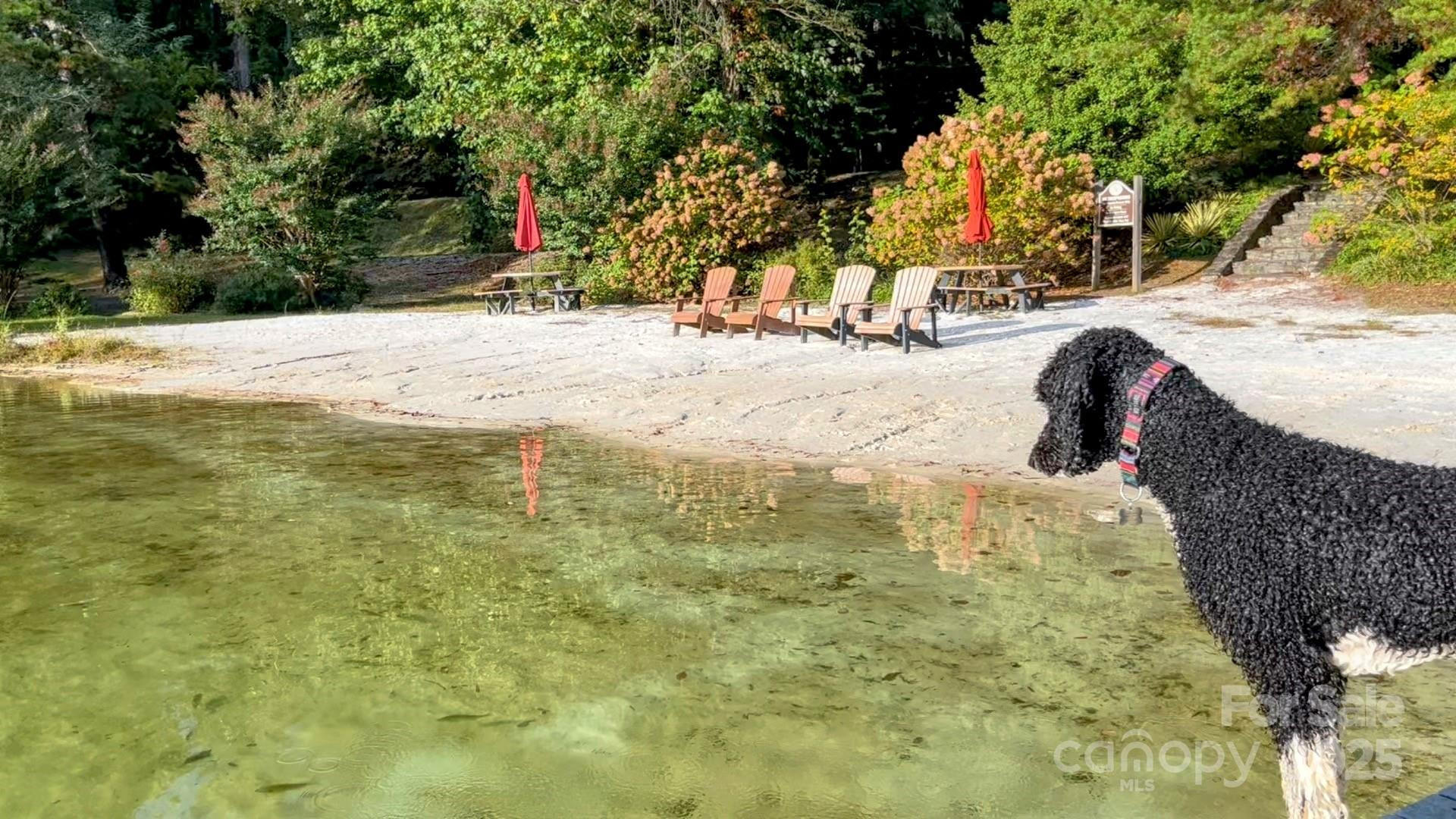 630 & 631 Melrose Mountain Road - Photo 12