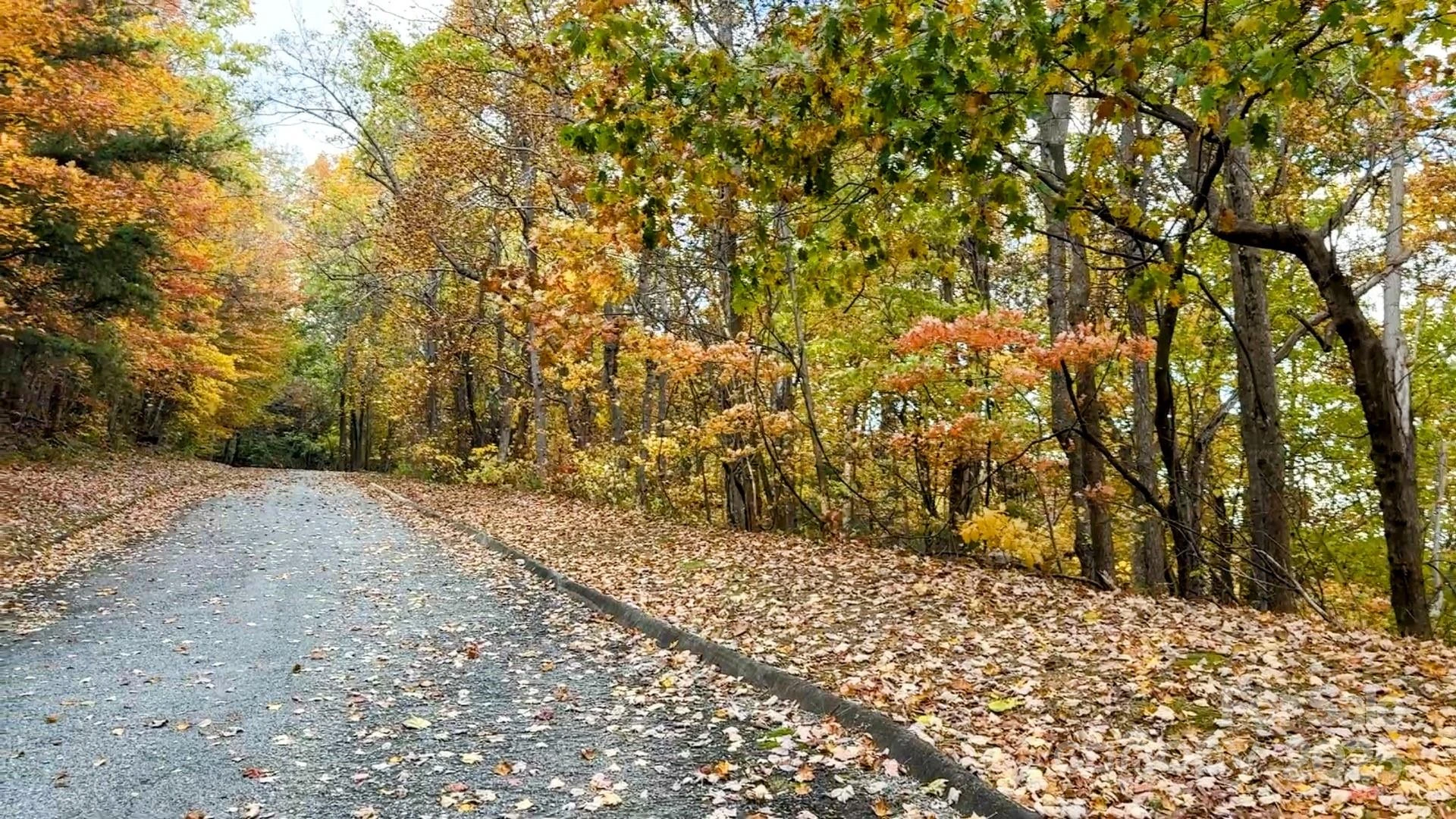 630 & 631 Melrose Mountain Road - Photo 8