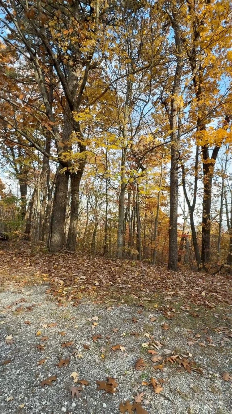 630 & 631 Melrose Mountain Road - Photo 9