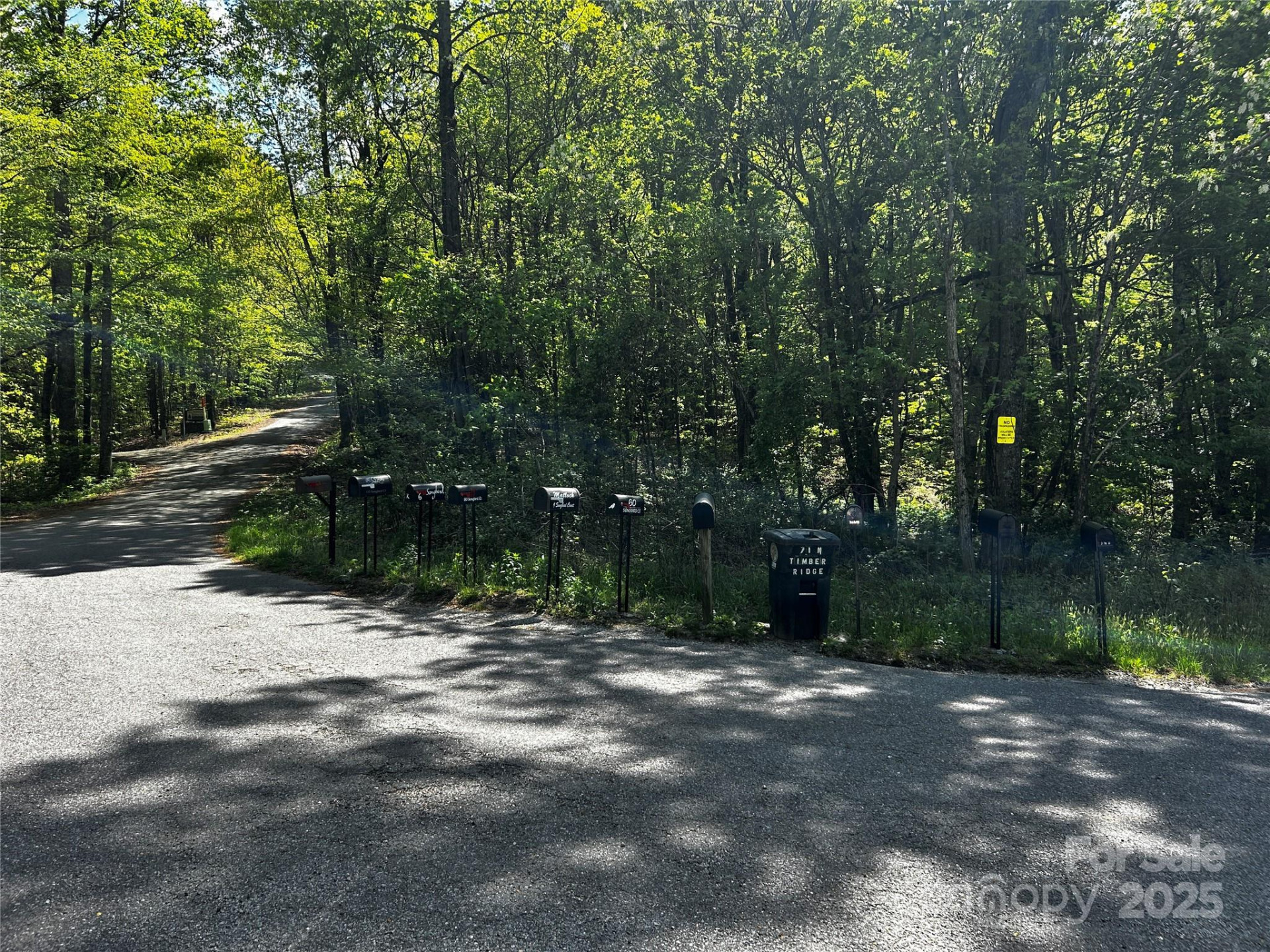 0 NO Timber Ridge Drive #42 - Photo 2