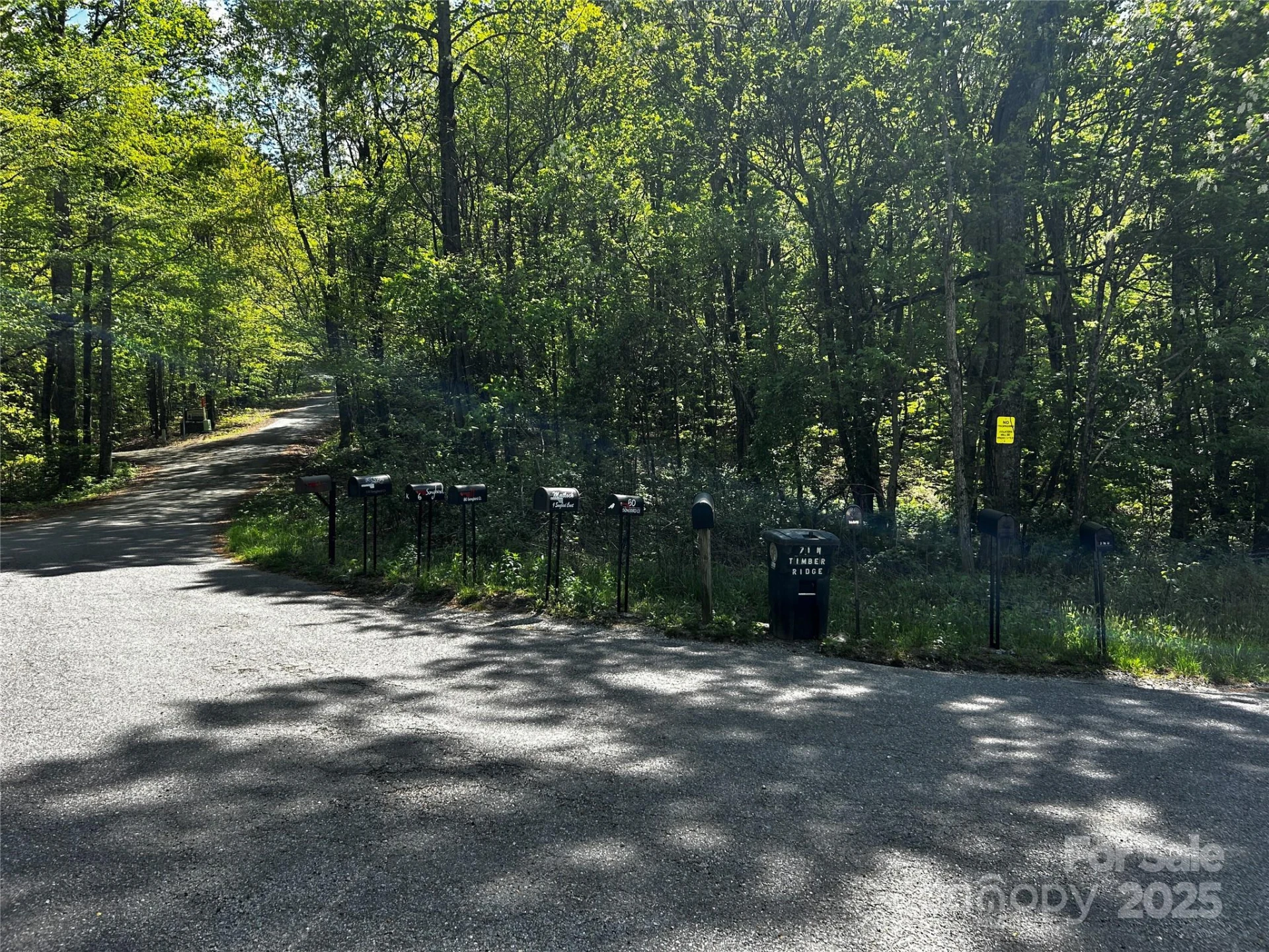 0 NO Timber Ridge Drive #42 - Photo 2