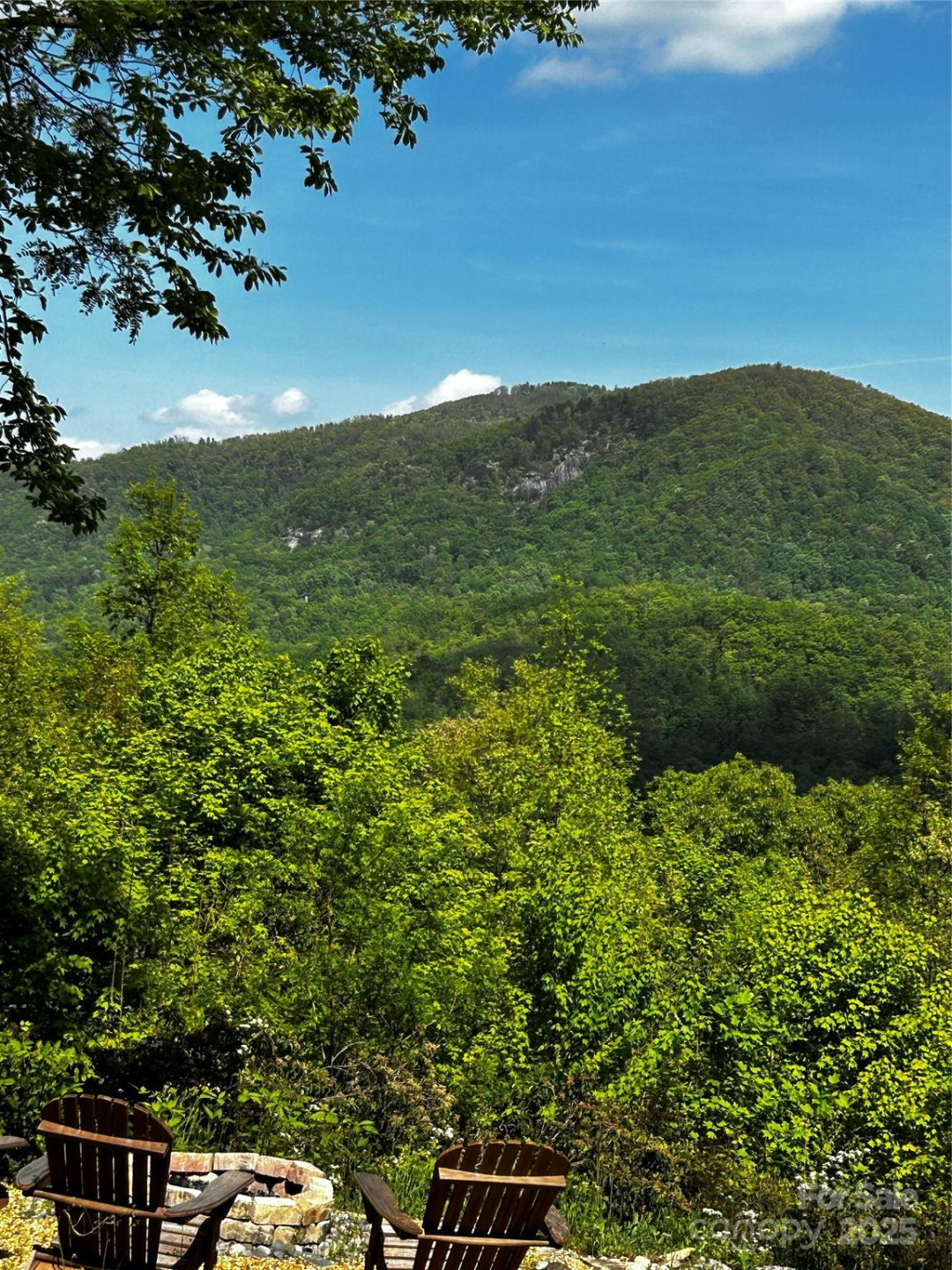 0 NO Timber Ridge Drive #42 - Photo 11