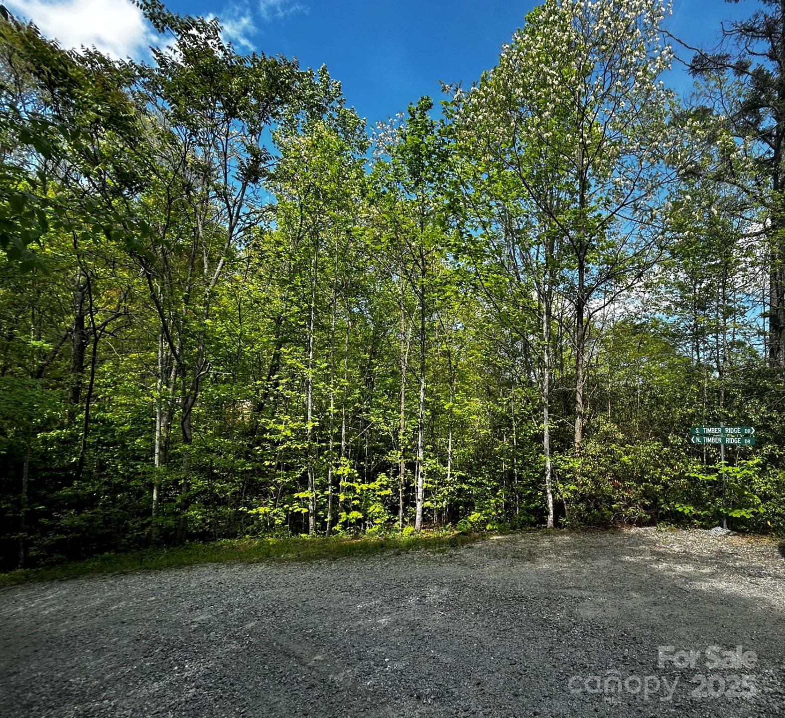 0 NO Timber Ridge Drive #42 - Photo 5