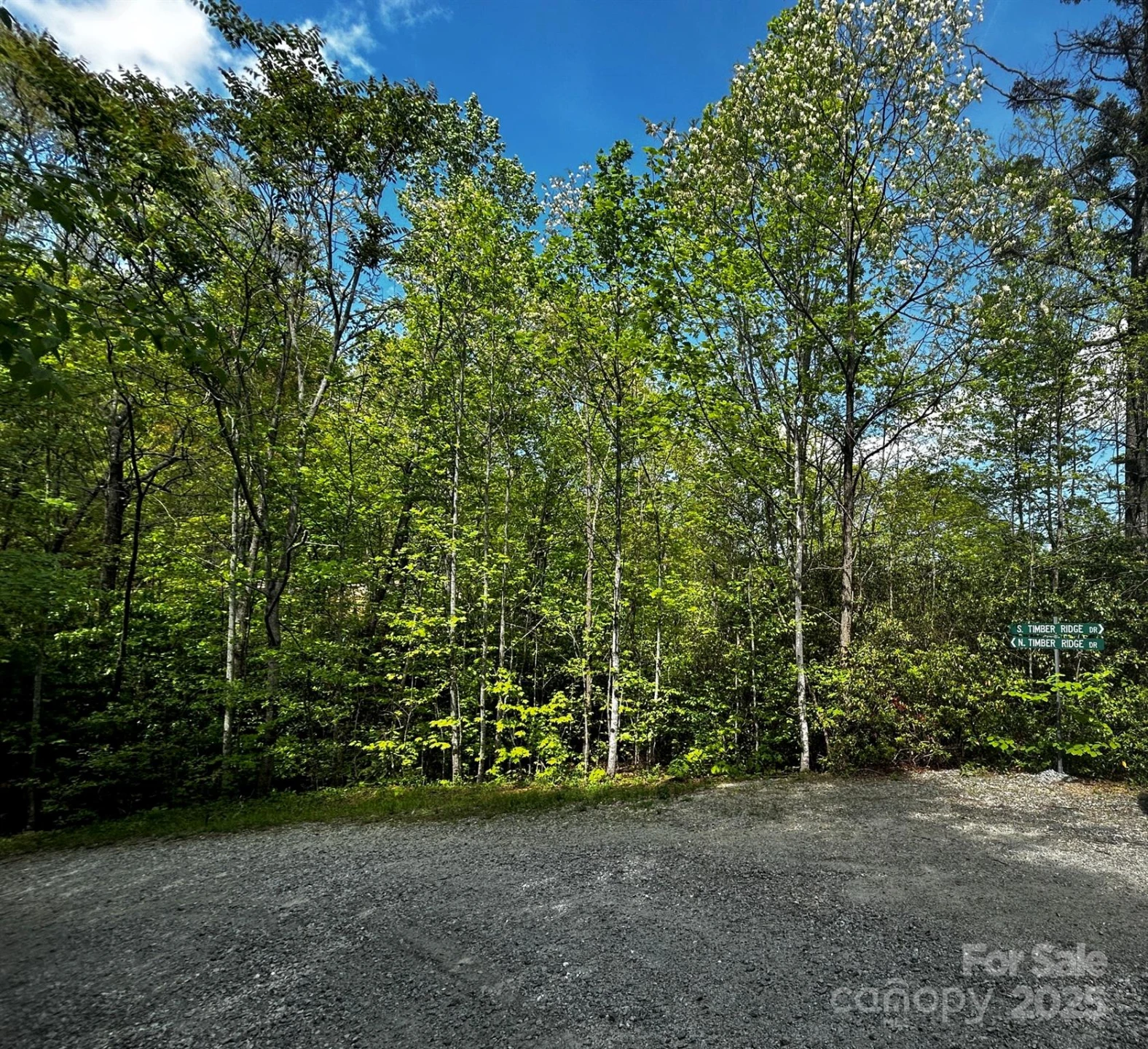 0 NO Timber Ridge Drive #42 - Photo 5