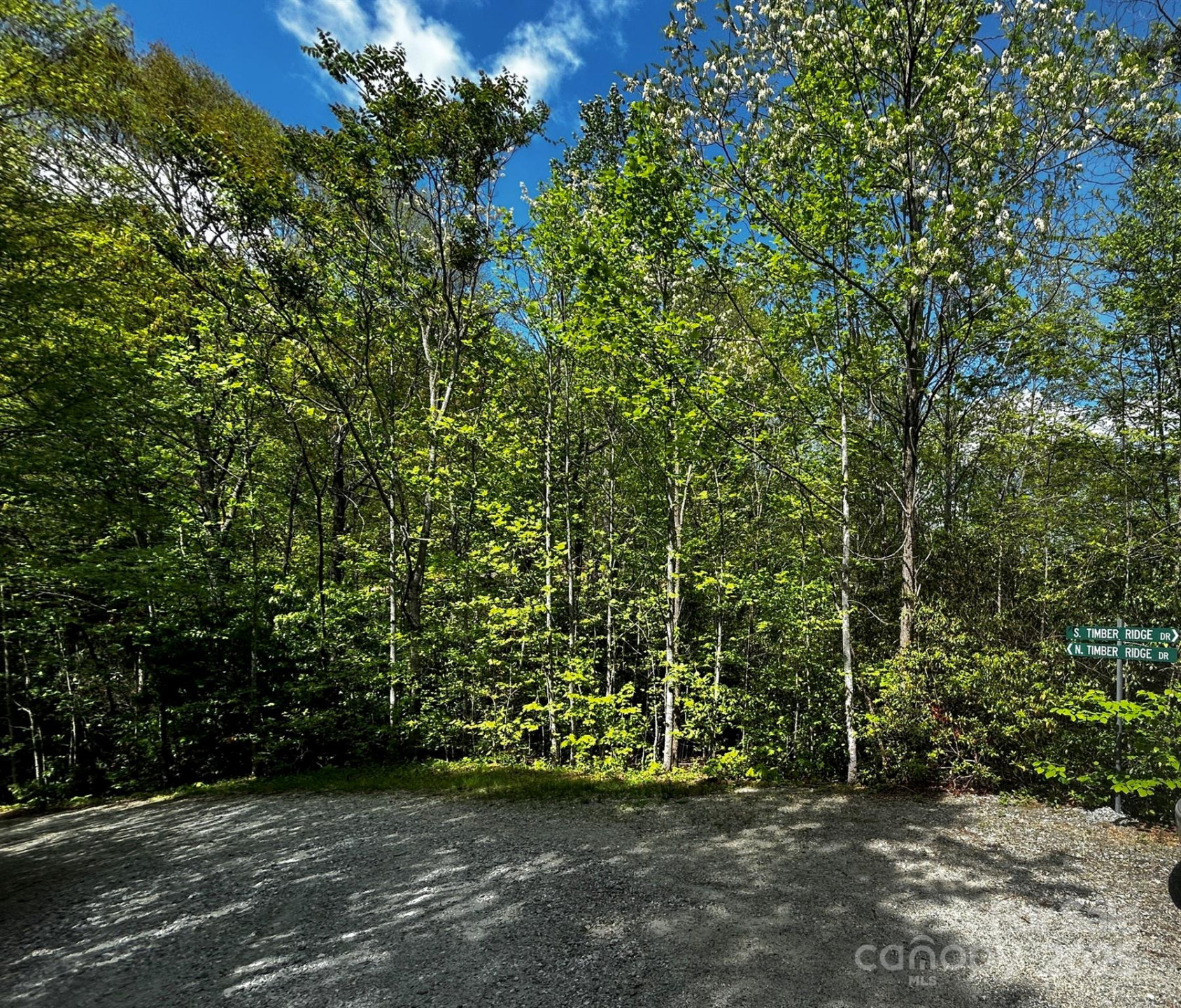 0 NO Timber Ridge Drive #42 - Photo 7