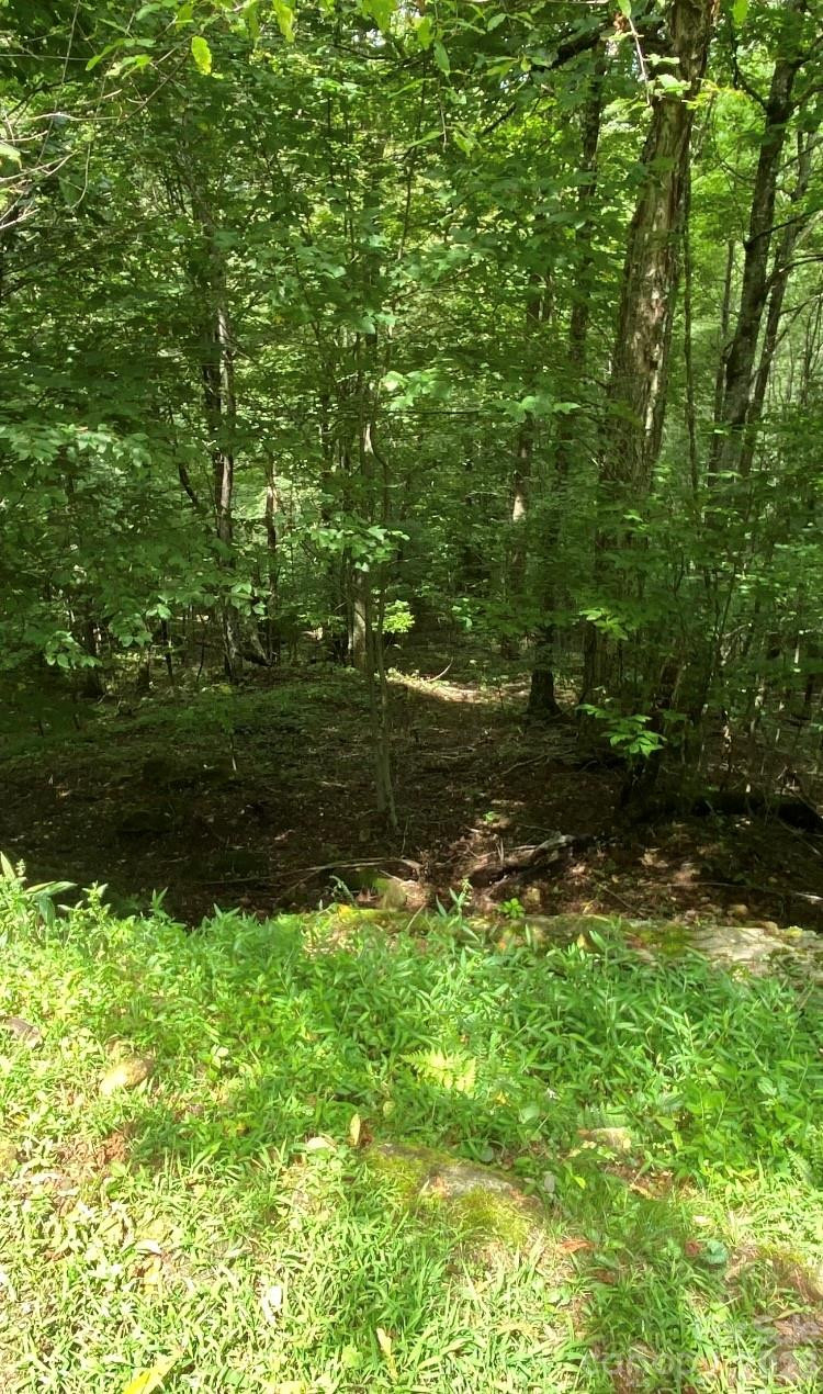 10 Mountain Gait Drive - Photo 4