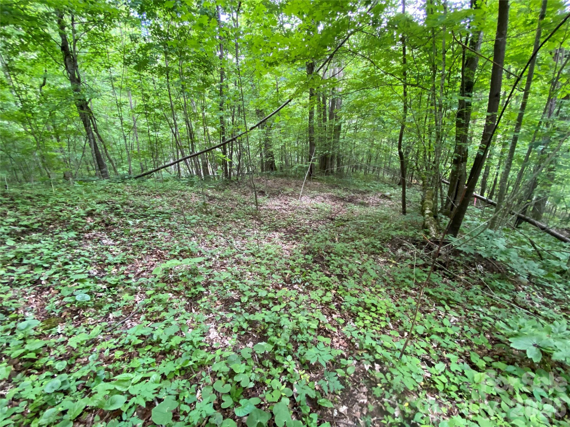 10 Mountain Gait Drive - Photo 5