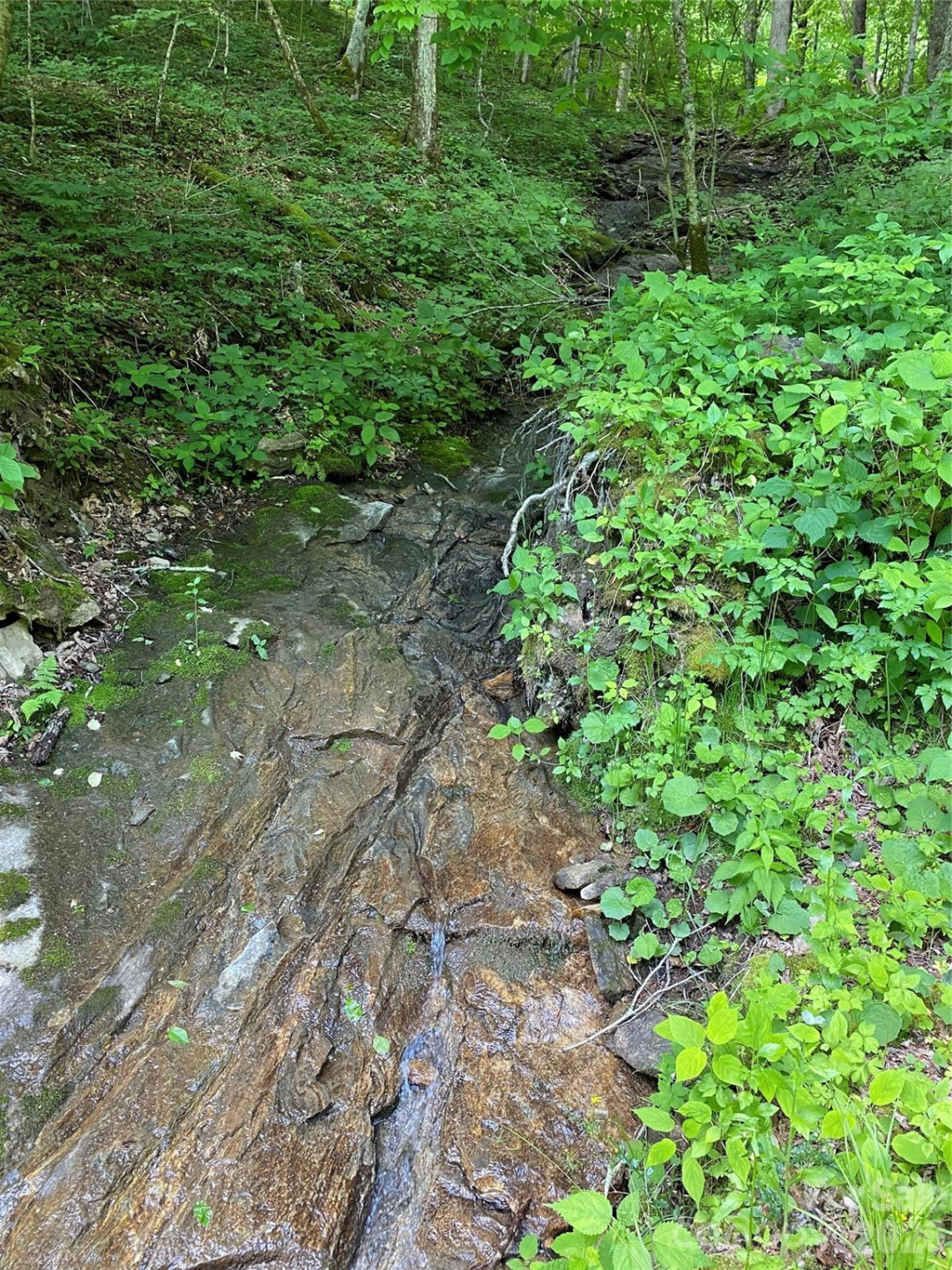 10 Mountain Gait Drive - Photo 8