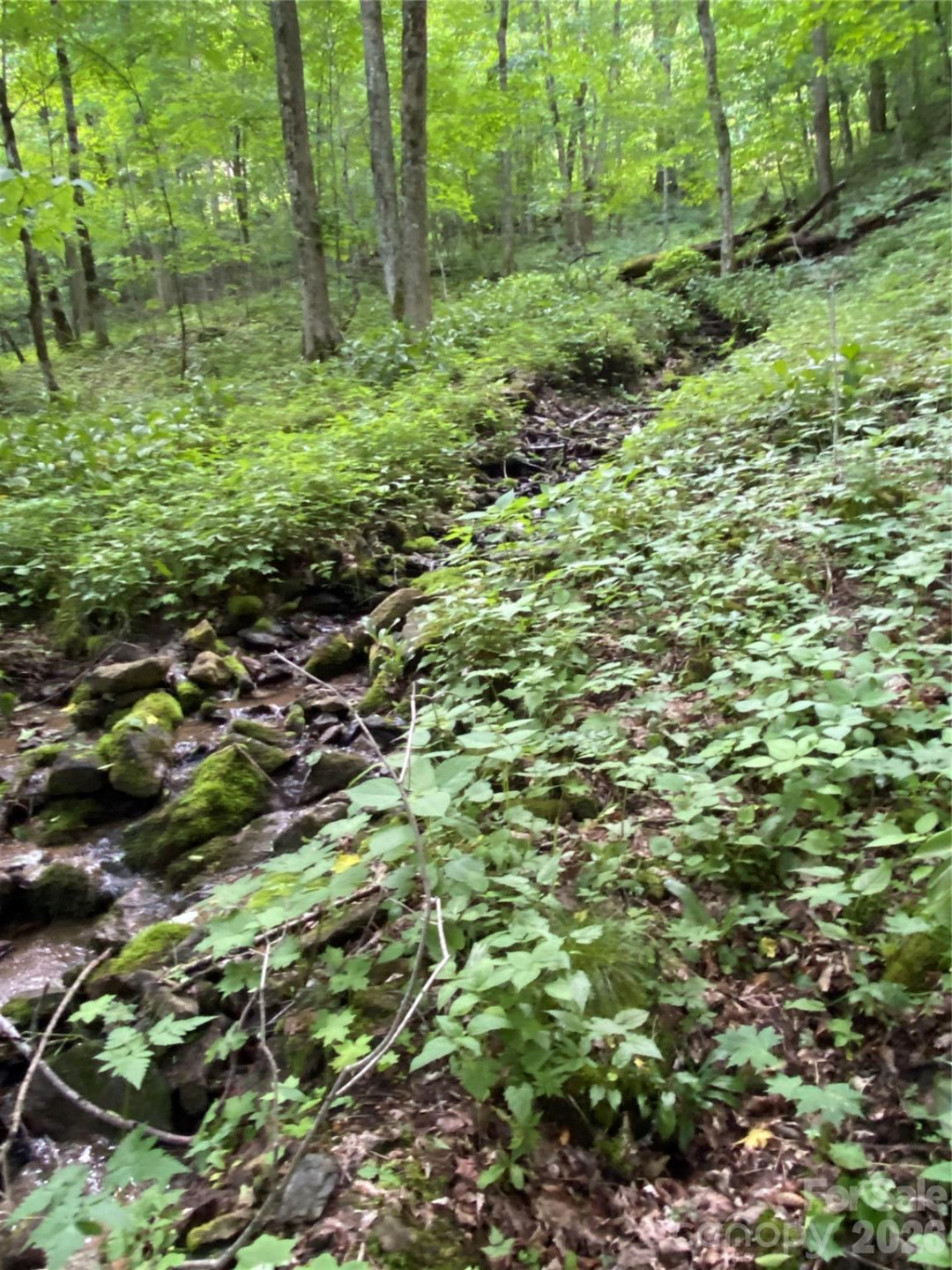 10 Mountain Gait Drive - Photo 9