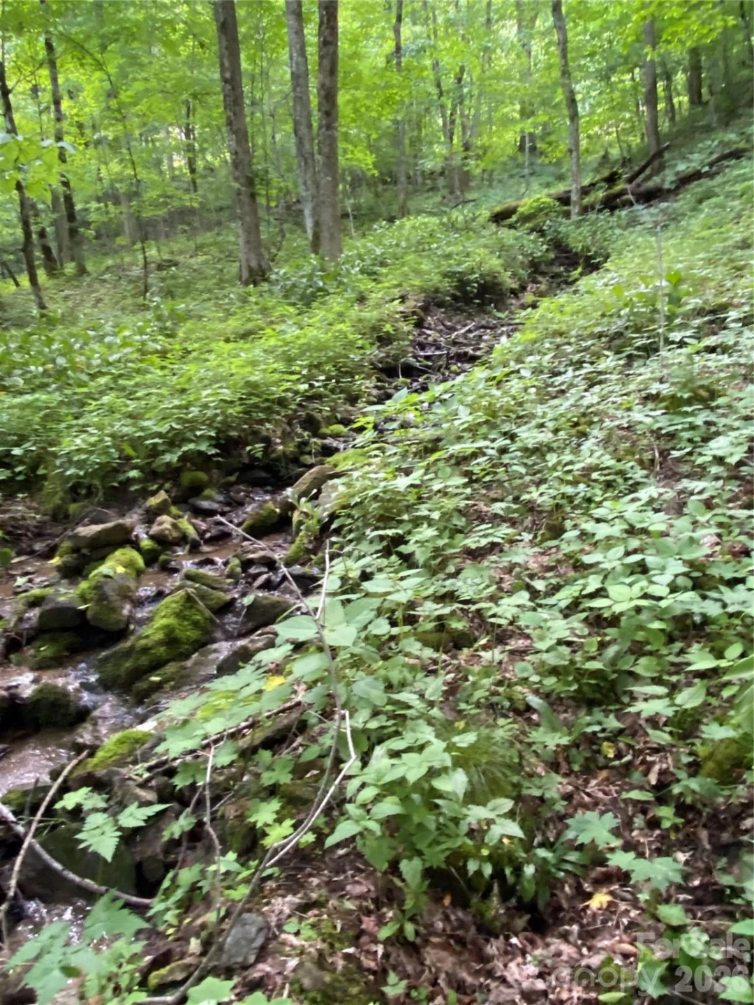 10 Mountain Gait Drive - Photo 9