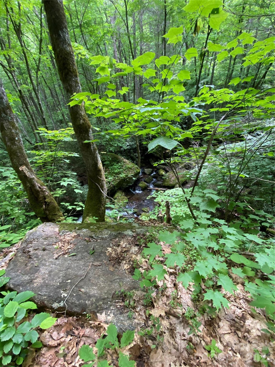 10 Mountain Gait Drive - Photo 10