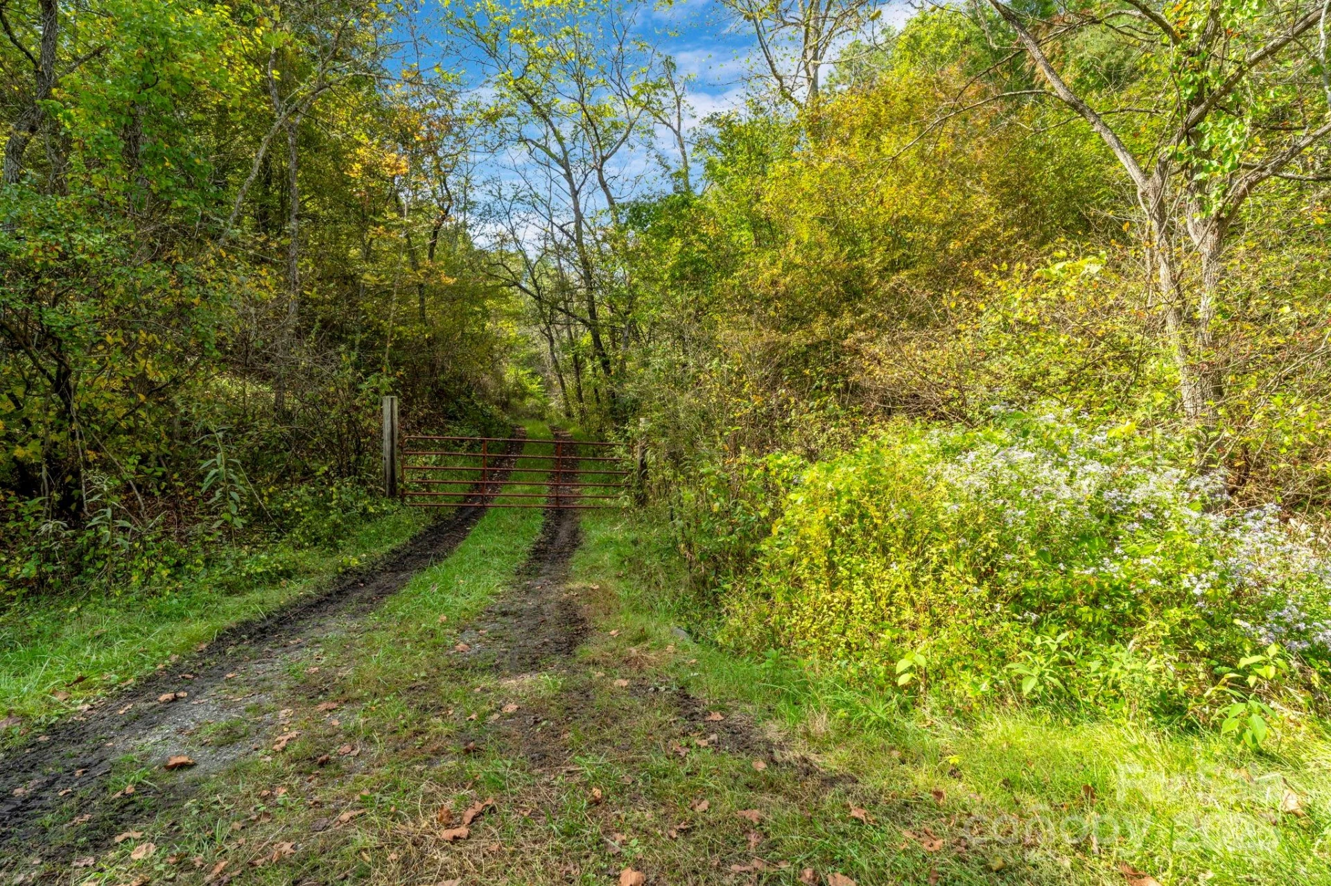 3319 Bull Creek Road - Photo 45