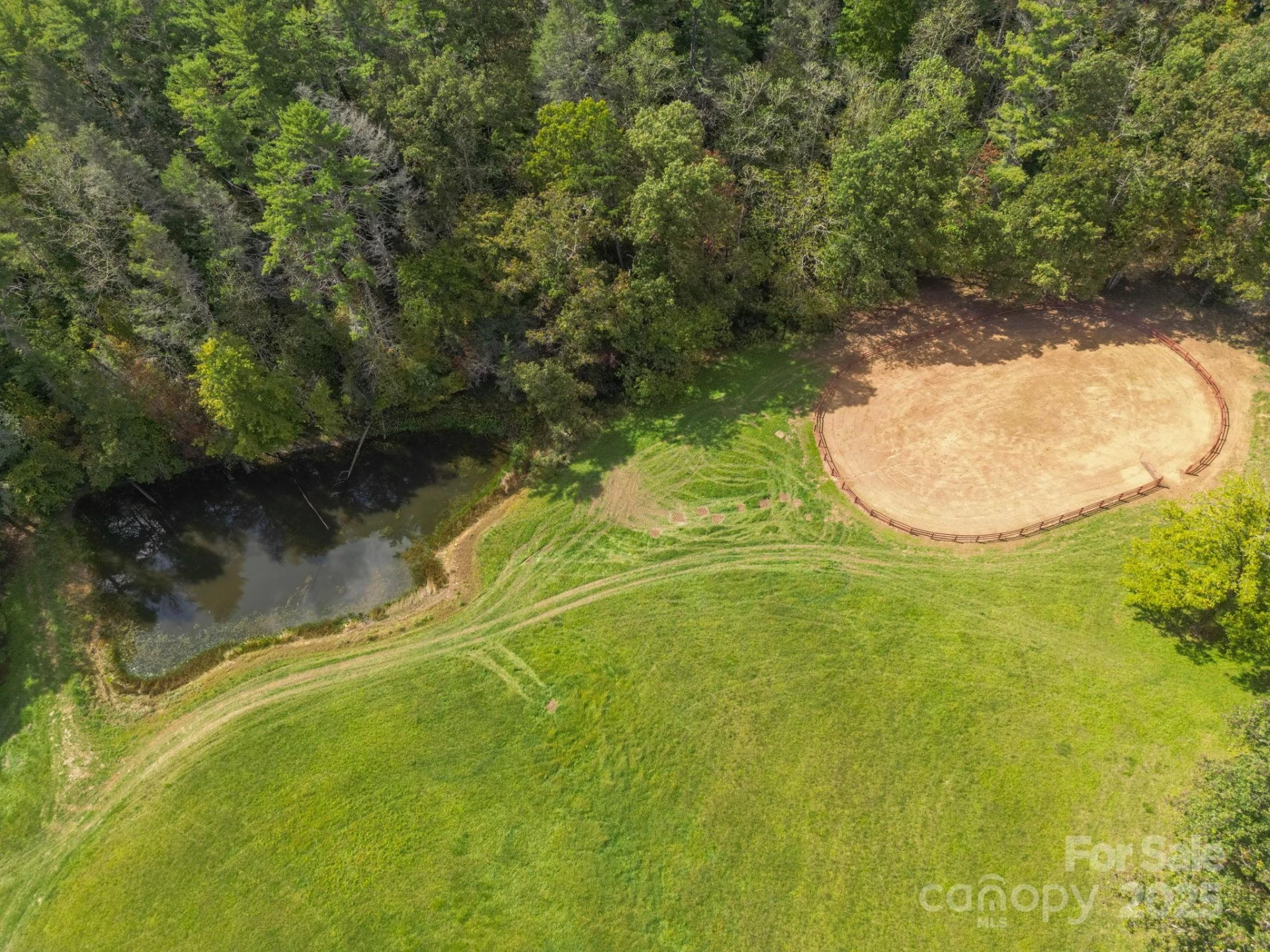 3319 Bull Creek Road - Photo 9