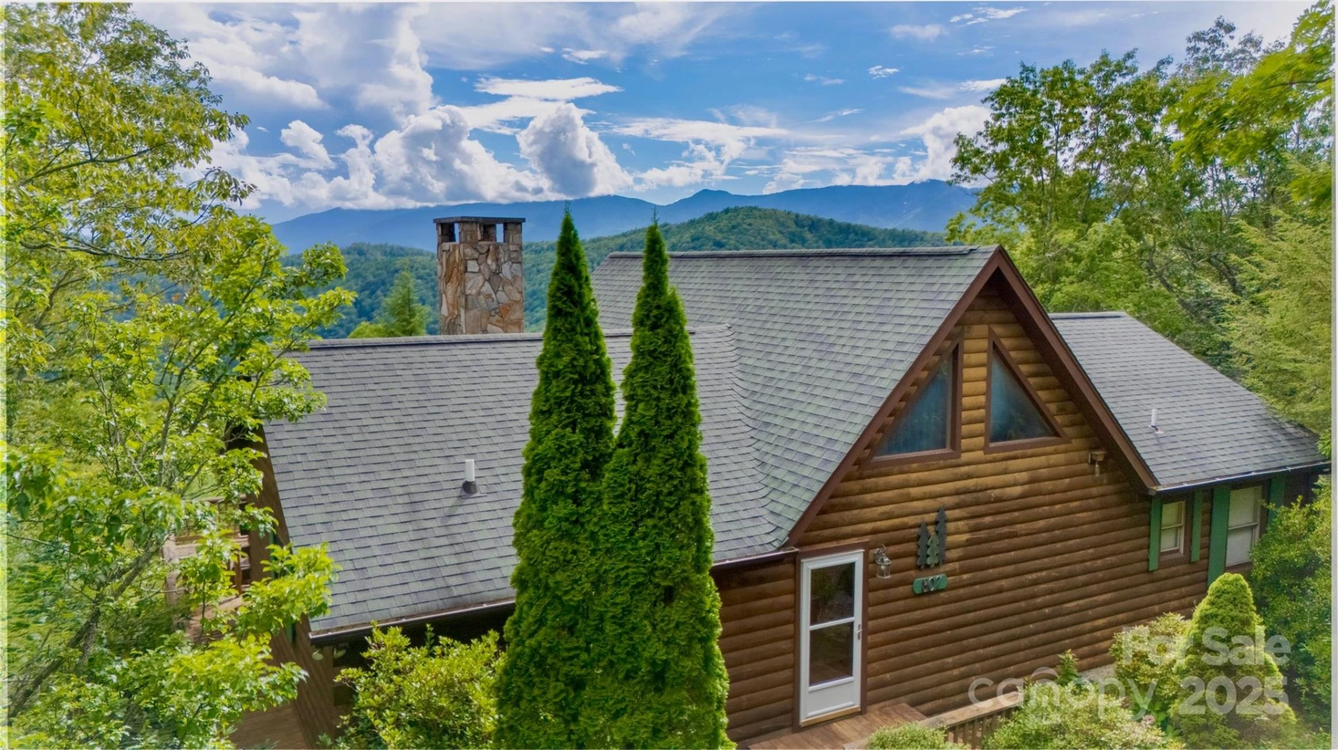 807 Pine Tree Road - Photo 2