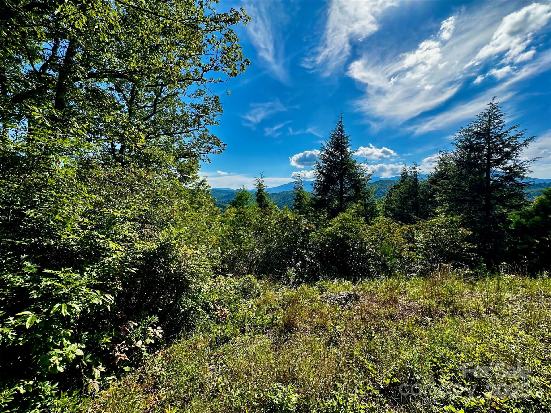 807 Pine Tree Road - Photo 32