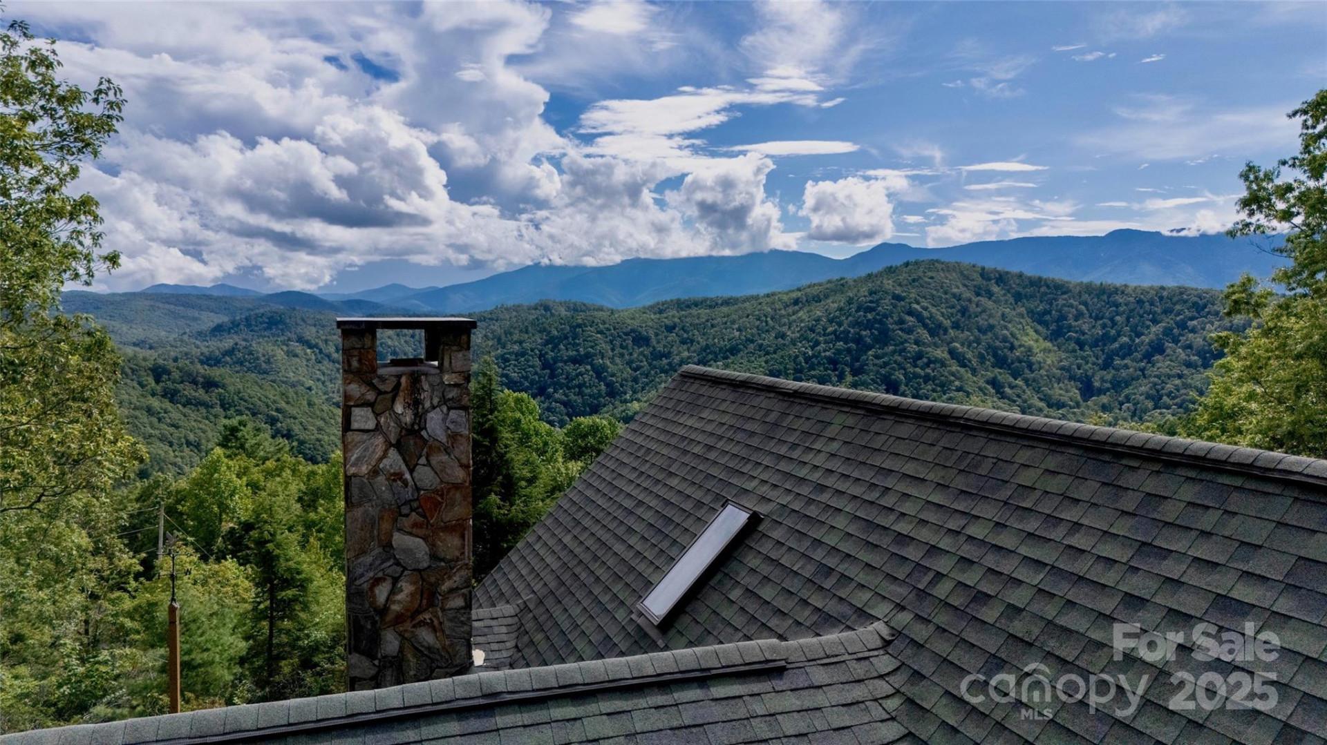 807 Pine Tree Road - Photo 33