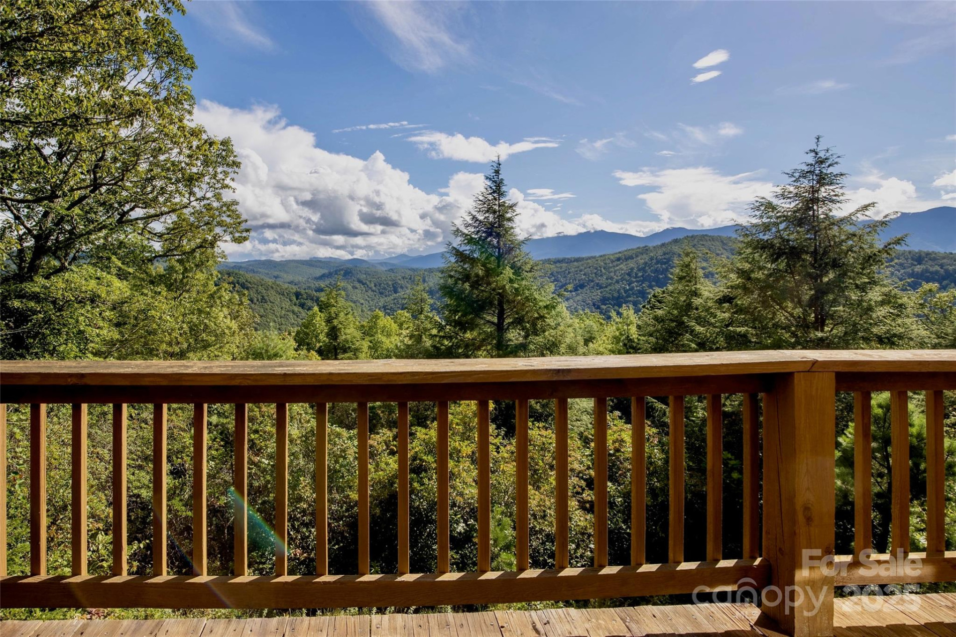 807 Pine Tree Road - Photo 34