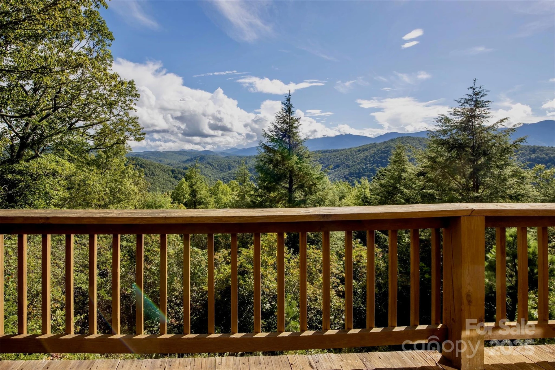 807 Pine Tree Road - Photo 34