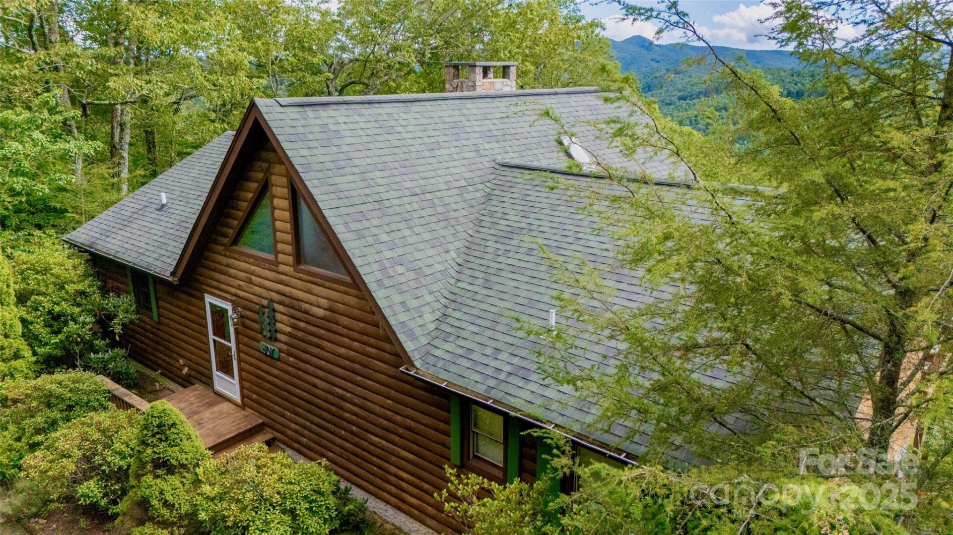 807 Pine Tree Road - Photo 36