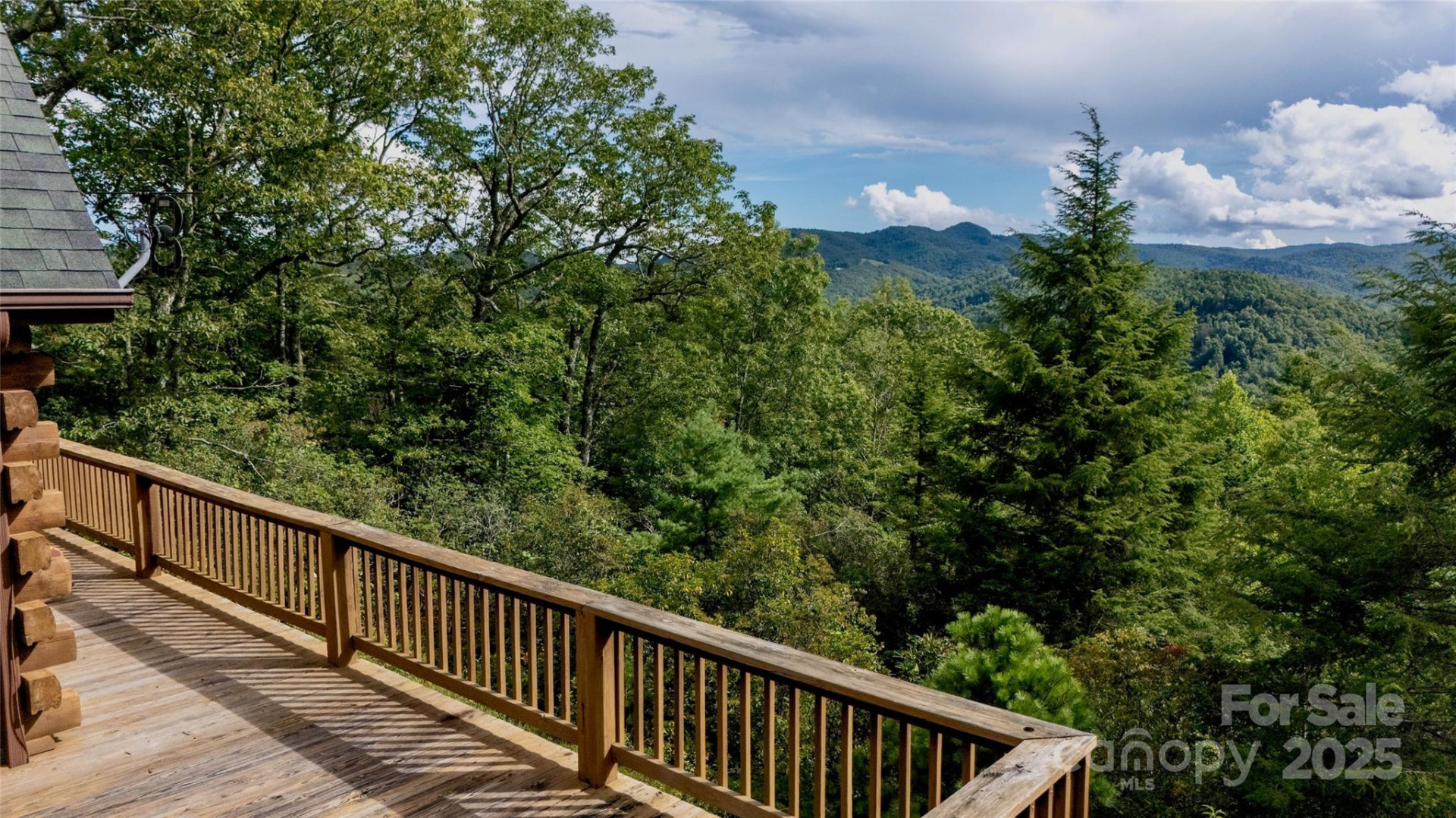 807 Pine Tree Road - Photo 37