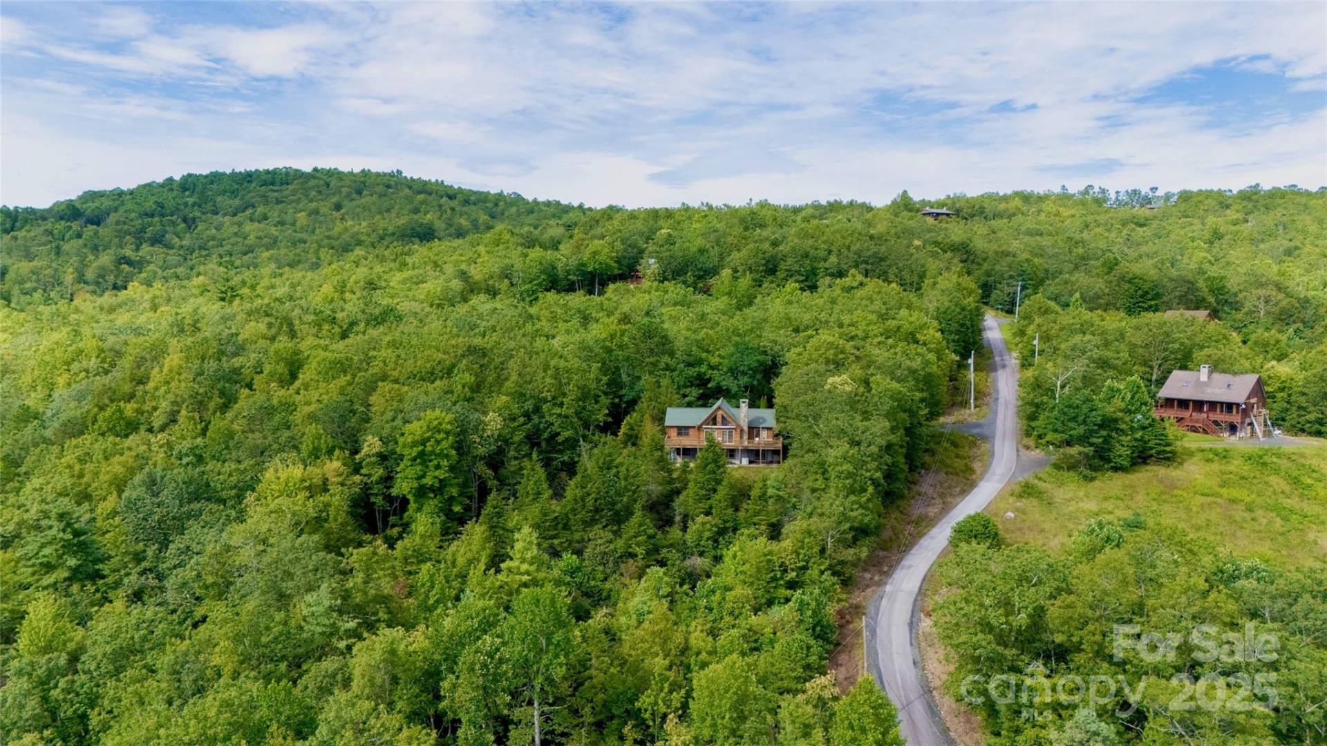 807 Pine Tree Road - Photo 39