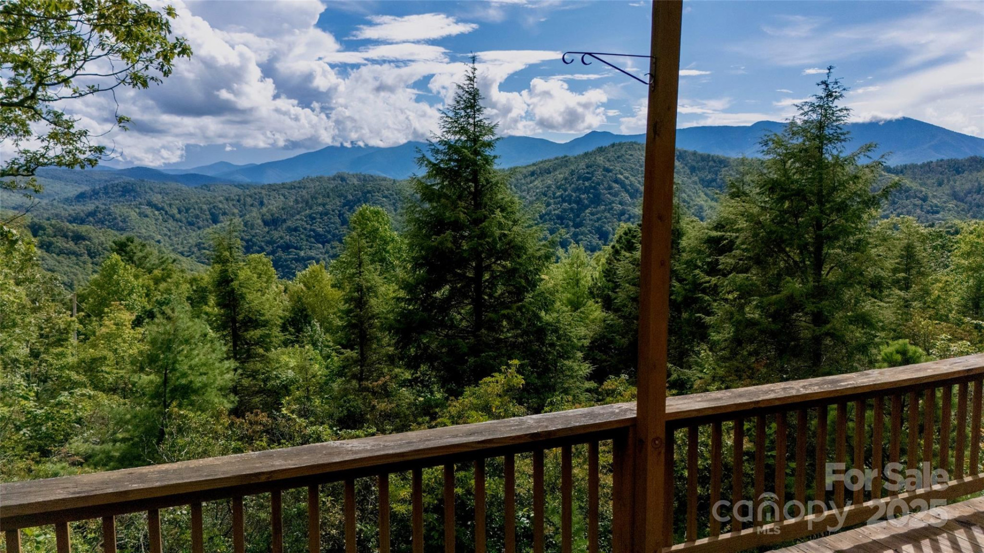 807 Pine Tree Road - Photo 5