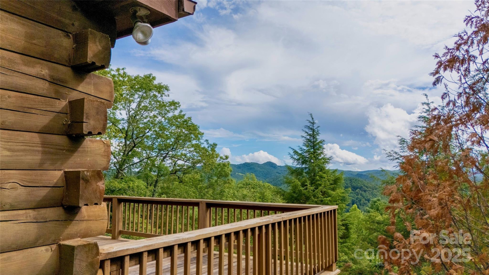 807 Pine Tree Road - Photo 42