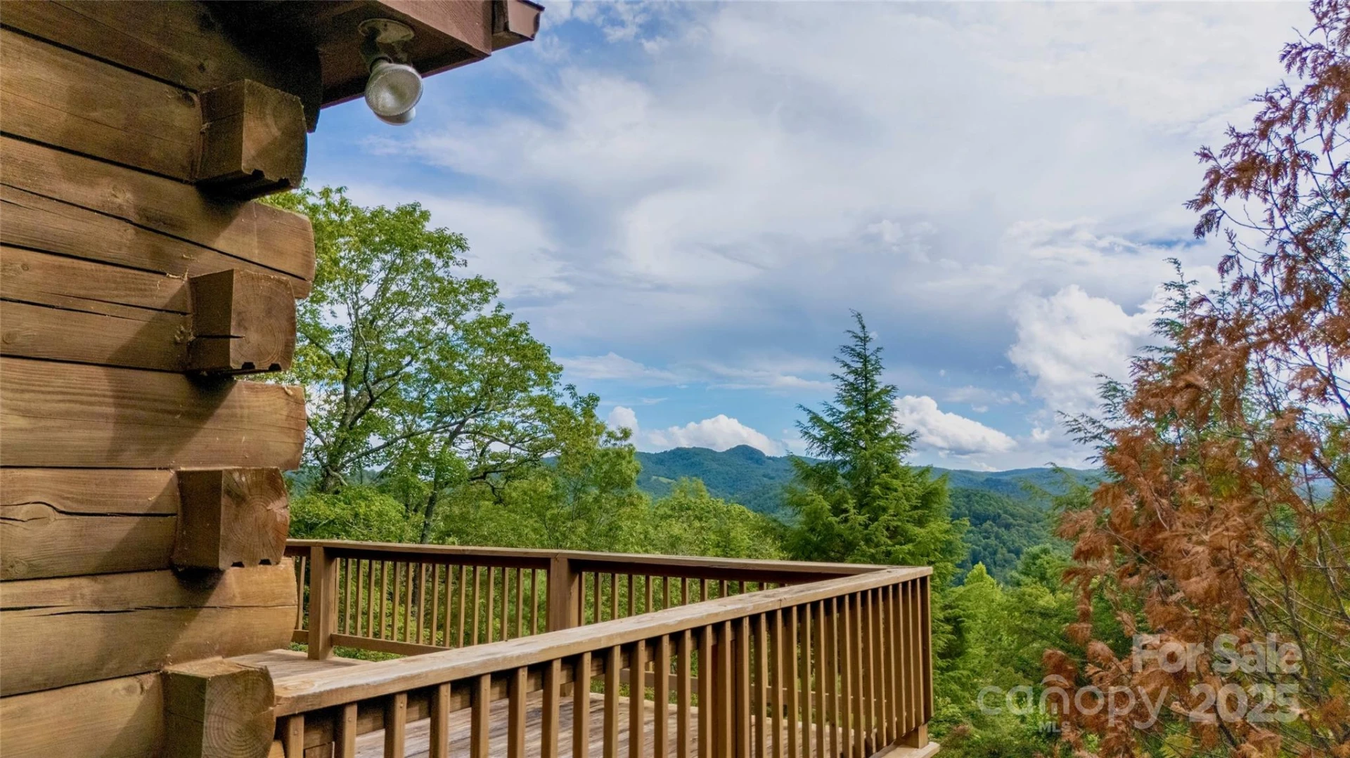 807 Pine Tree Road - Photo 42