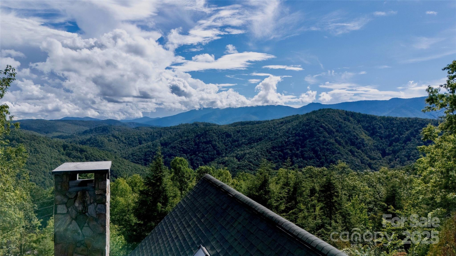 807 Pine Tree Road - Photo 44