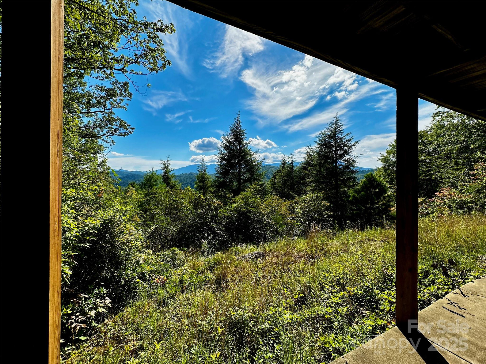 807 Pine Tree Road - Photo 47